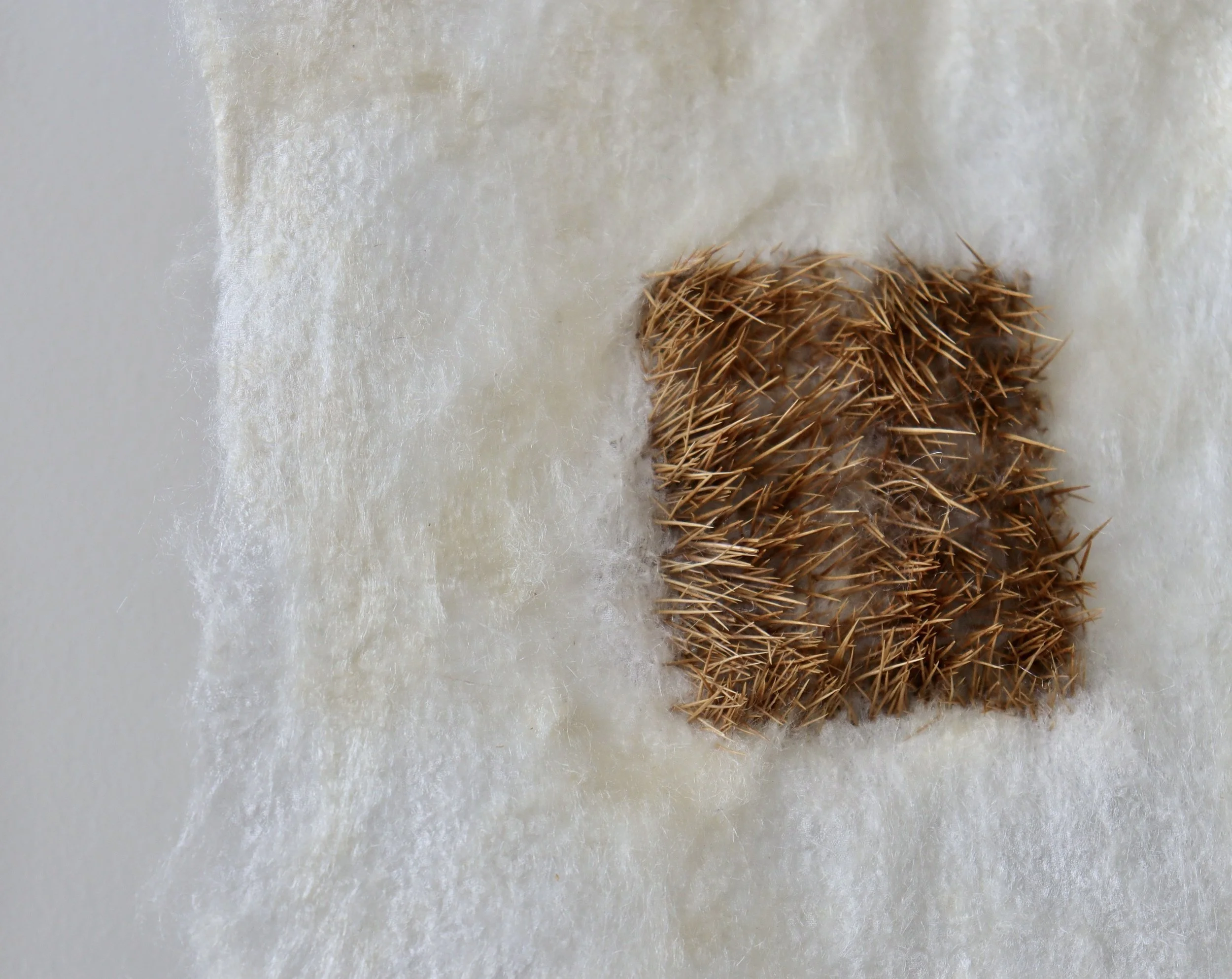 ‘The silk inside a chestnut shell (outside)', 2025
Chestnut spines pierced through felted silk.
Diptych; each approximately 10 x 9cm. 