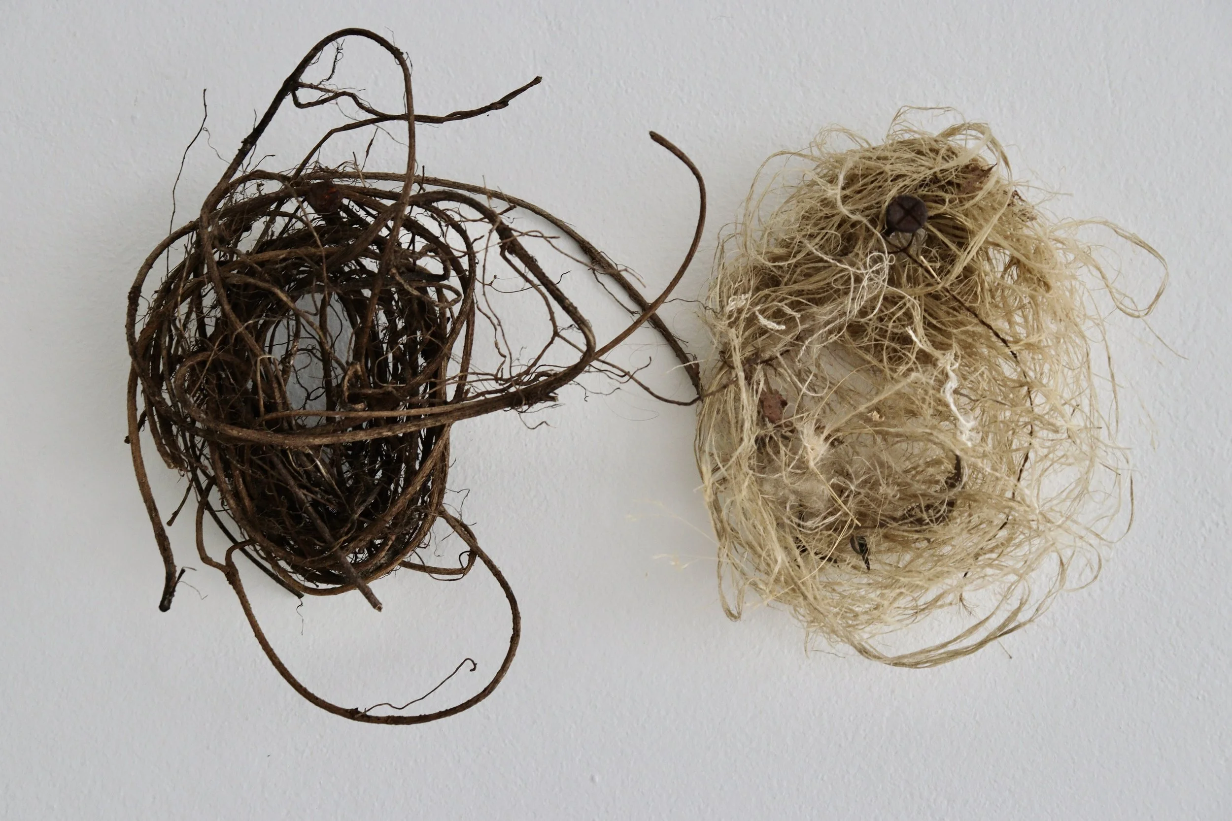 'Skein', 2025
Two found nests, rusted nails, a thread of the artist's hair and fibres of silk.
Approximately 25cm in diameter each.
