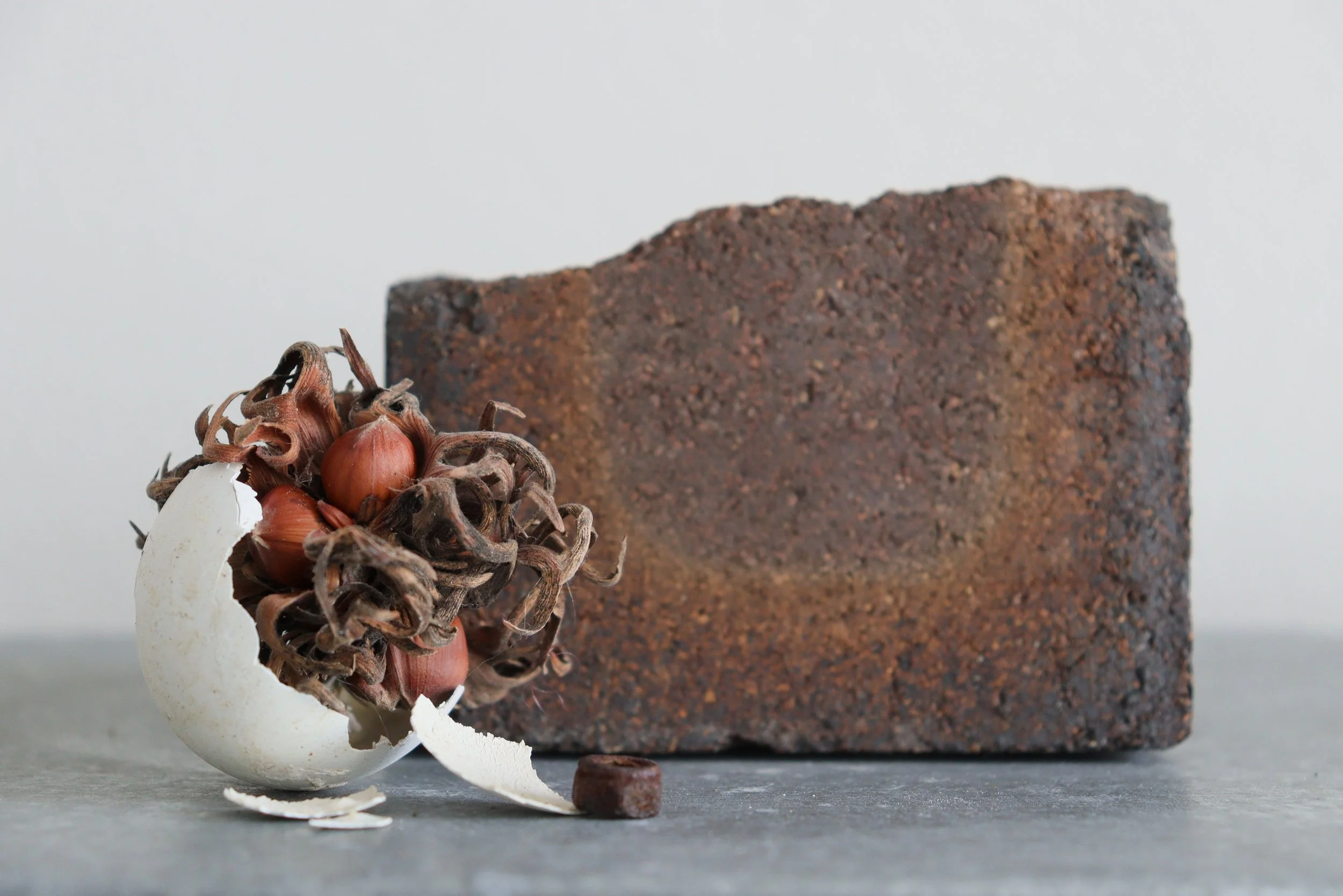 'Hatchling' and 'Hearth' (installation view), 2025