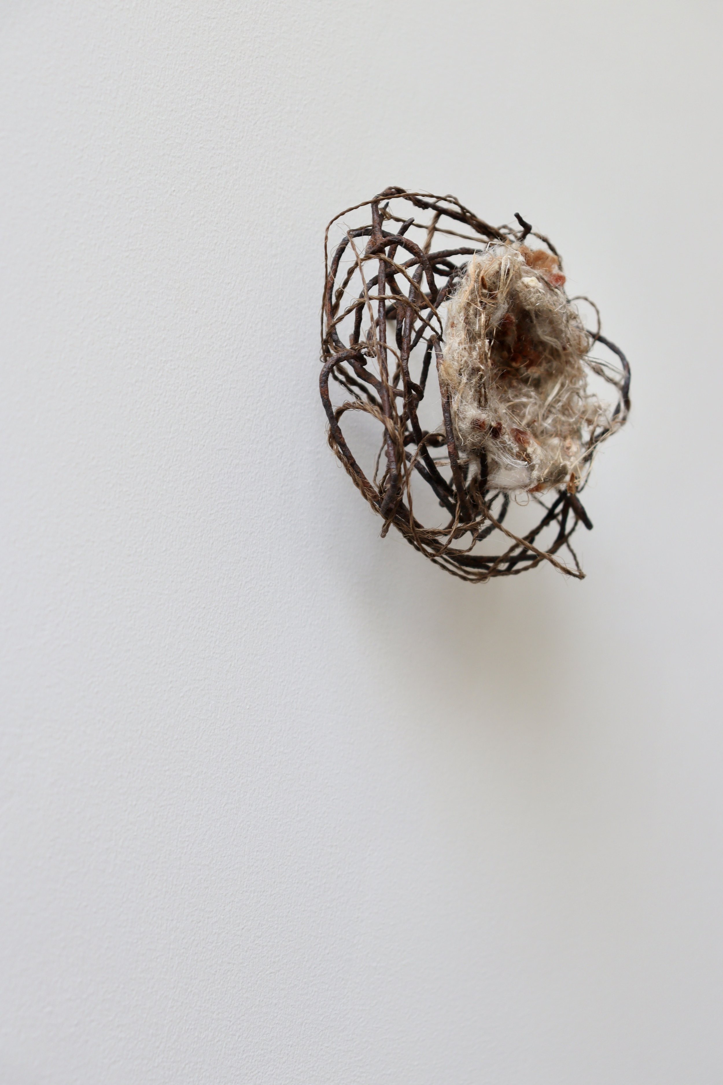 'Nestling', 2025
A length of twine made from the artist's hair, a twisted knot of rusted steel, and a carpet of feathers and fibrils found in a fallen nest.
Approximately 8.5cm in diameter.