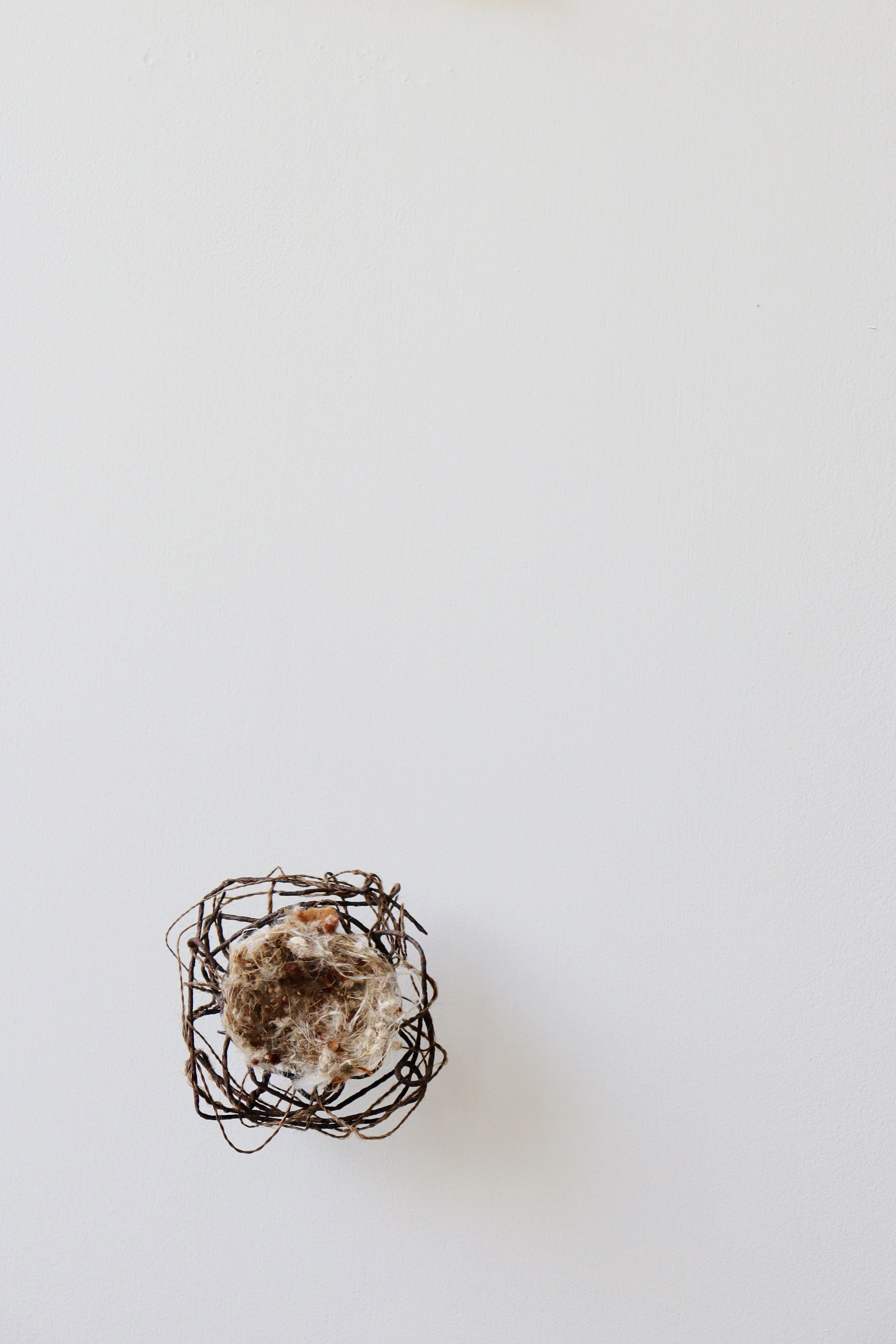 'Nestling', 2025
A length of twine made from the artist's hair, a twisted knot of rusted steel, and a carpet of feathers and fibrils found in a fallen nest.
Approximately 8.5cm in diameter.