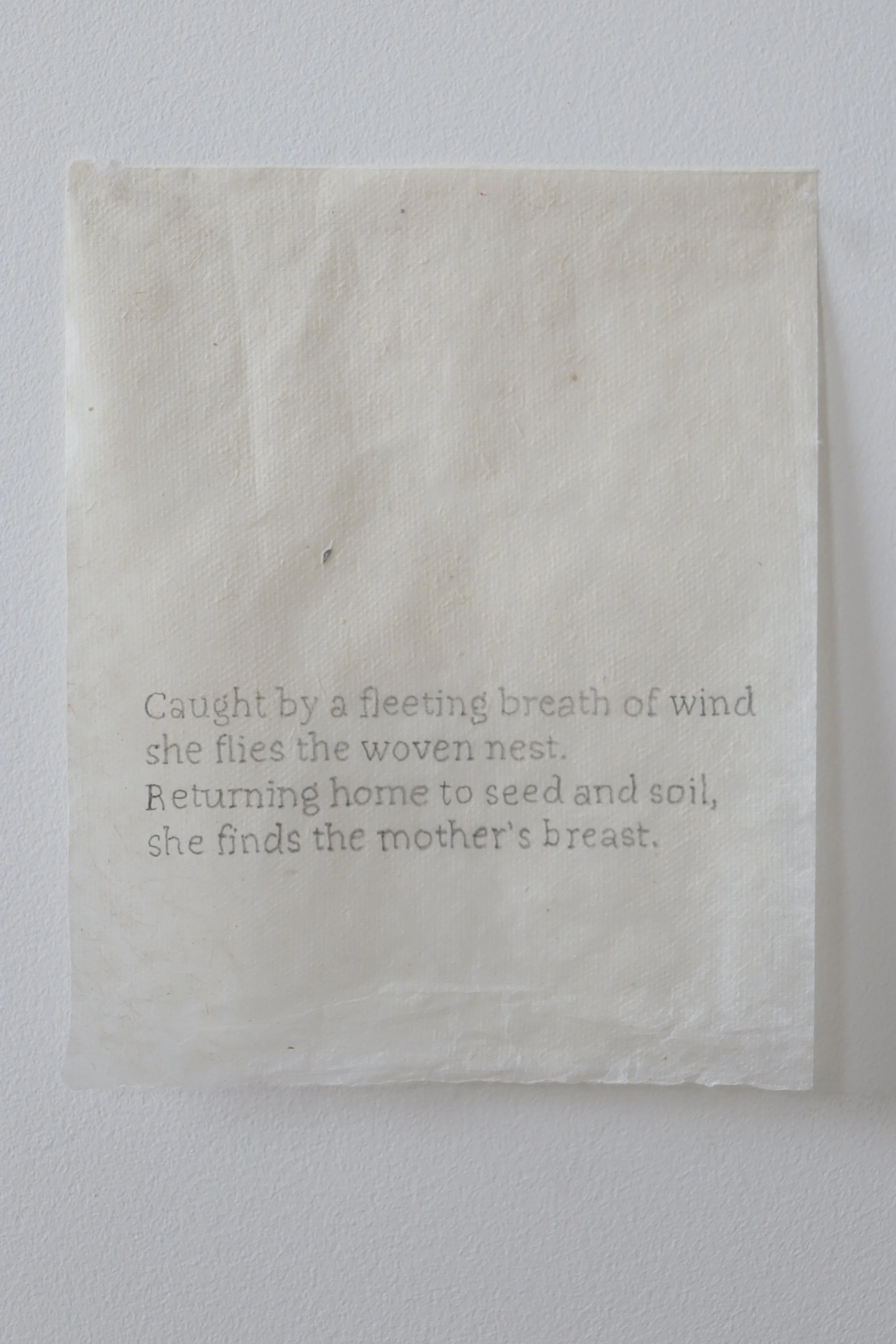 ‘Caught breath’, 2025
graphite on Lokta paper,
16.5 x 13.5cm