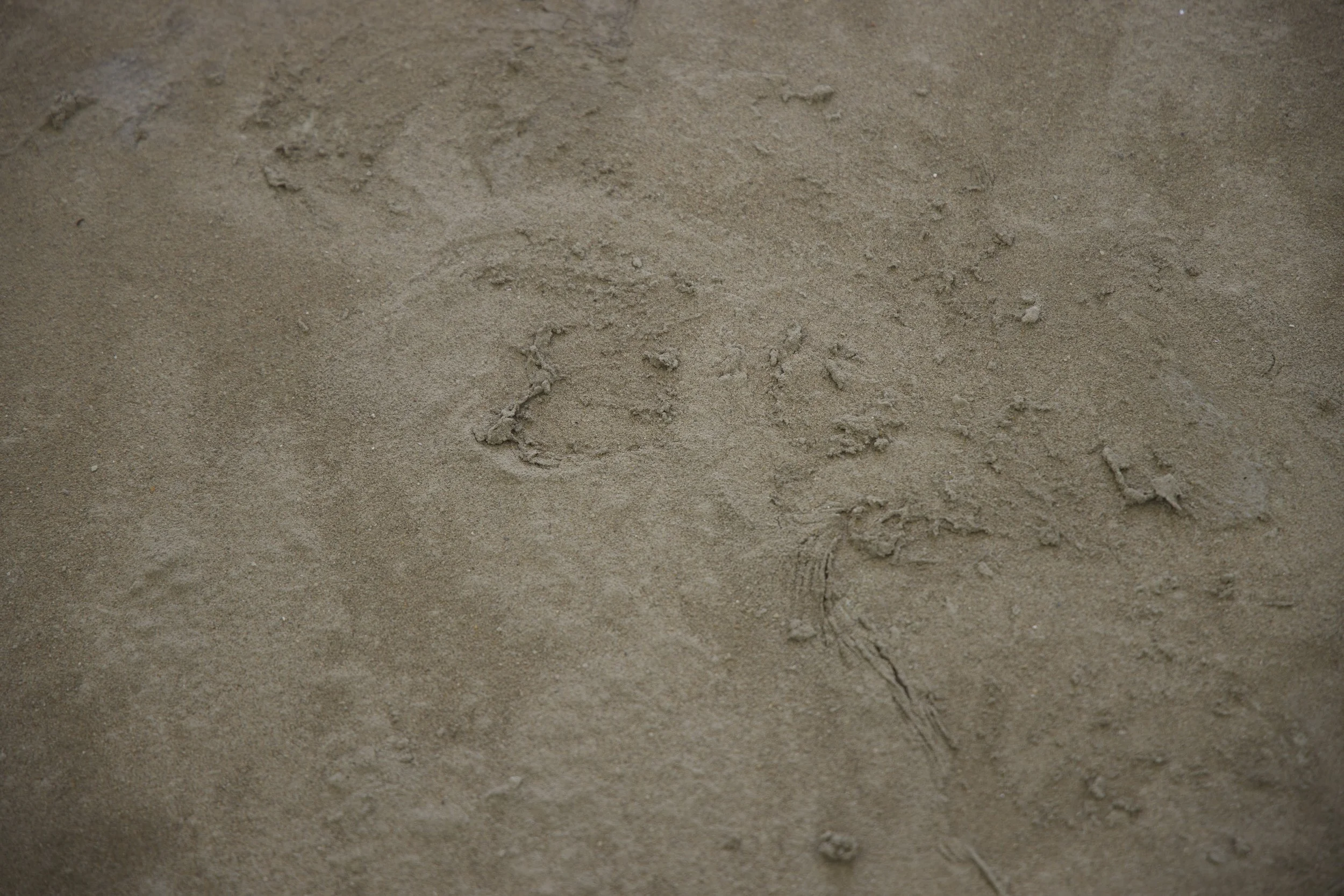 'Tender ground' (detail), 2025
Site-specific installation. 
Found and discarded materials (cement mortar, acrylic lacquer, PVA).
201 x 145cm. 
Photo courtesy of Puzzle Gallery, Chippendale