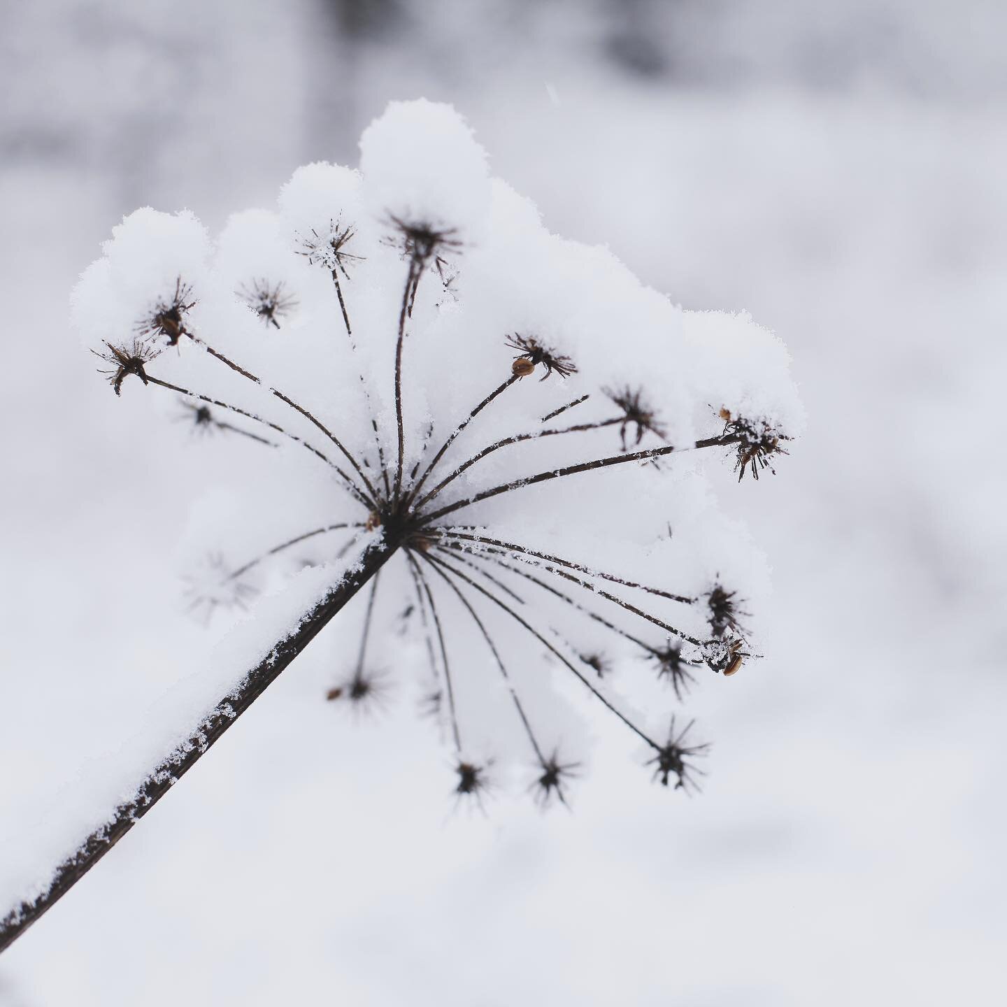 Vous partez bient&ocirc;t skier ? 🎿

Pour rester au sec sur les pistes, pensez &agrave; faire r&eacute;imperm&eacute;abiliser vos tenues de ski avant de partir. ⛷️

&Agrave; force d&rsquo;utilisation et de lavage, votre blouson, pantalon ou comb