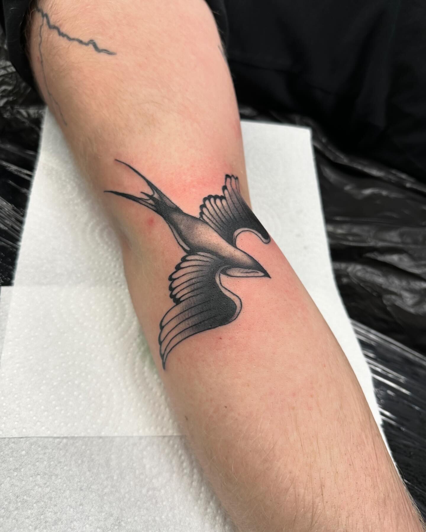❤️SWALLOW❤️

Thx Maxfor the Trust❤️❤️
With Love Chelly❤️
My books are open!!
Dm me if your interested 
Find me @noble_tattoo

.
.
.
.
.
.
.
.
.
.
.
.
.
.
.
.
.
.
.
.
.
.
.
.
.
.
.
.
.
.
.
.
.
.
.
.
#tattoo #traditionaltattoo #customtattoo #traditiona