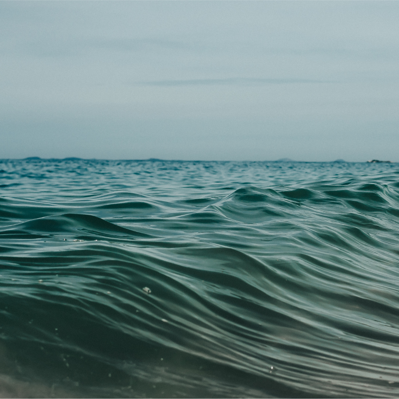 Design sans titre.png