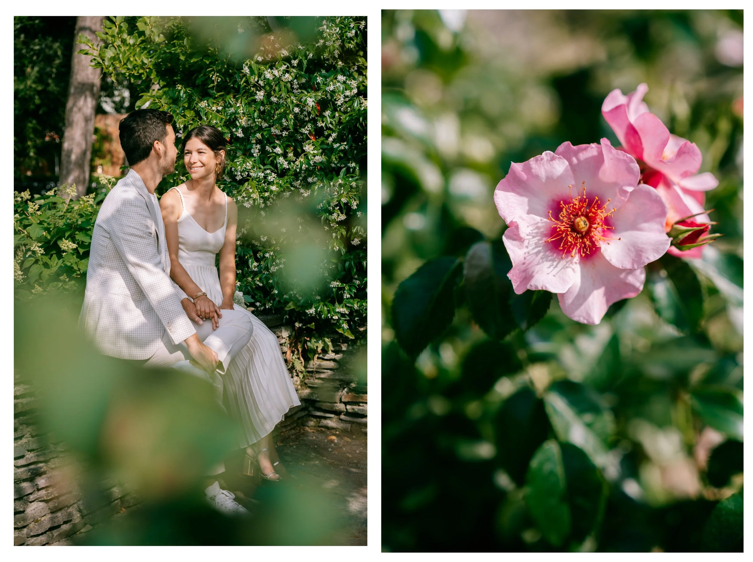 Un couple assis sur un banc dans un jardin lush, se tenant la main et s'échangeant un sourire, entouré de verdure et de fleurs. À droite, une fleur rose éclatante avec des pétales délicats et un centre rouge-orangé avec des étamines.