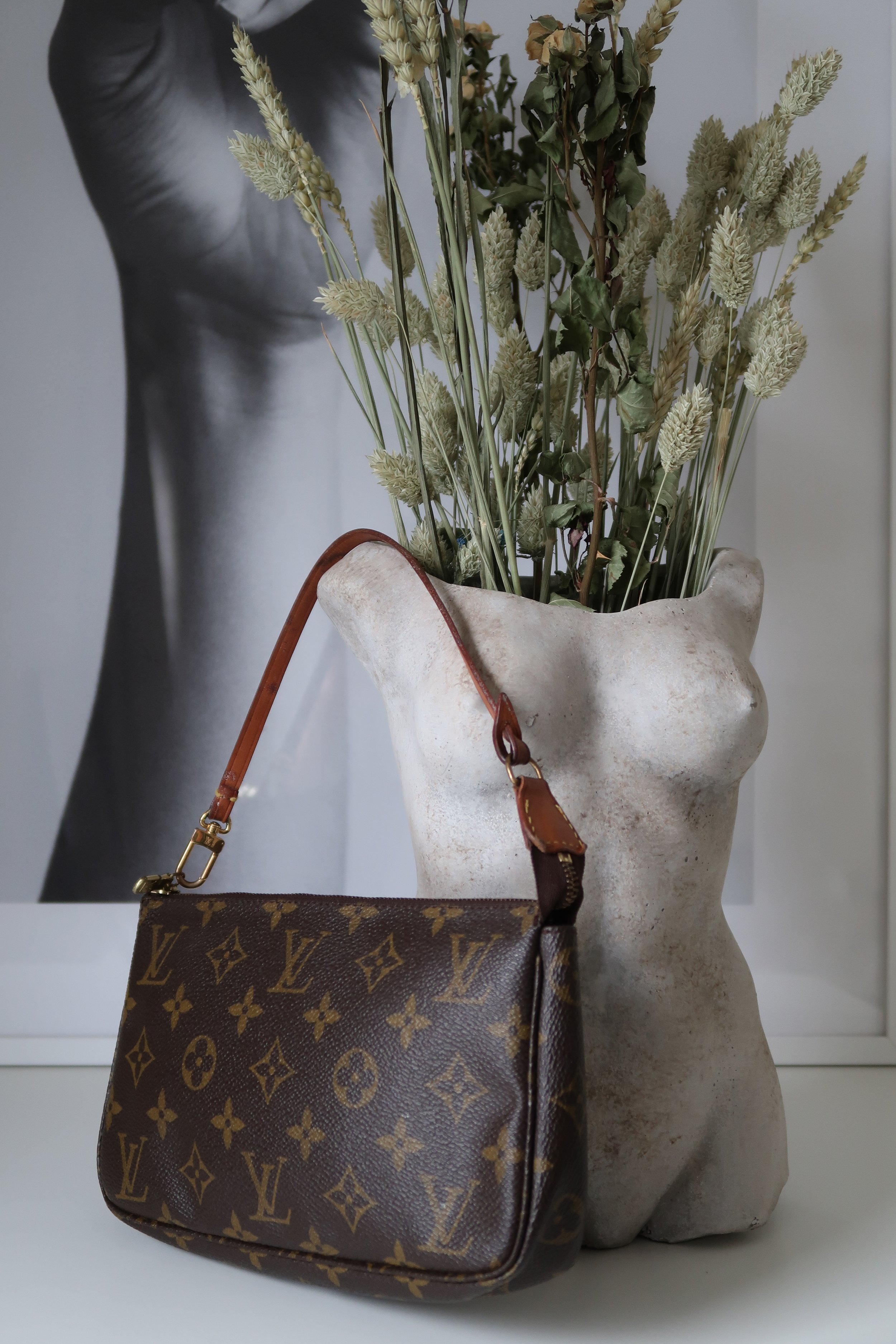 Louis Vuitton Pochette Accessoires Monogram Canvas Shoulder Bag on SALE