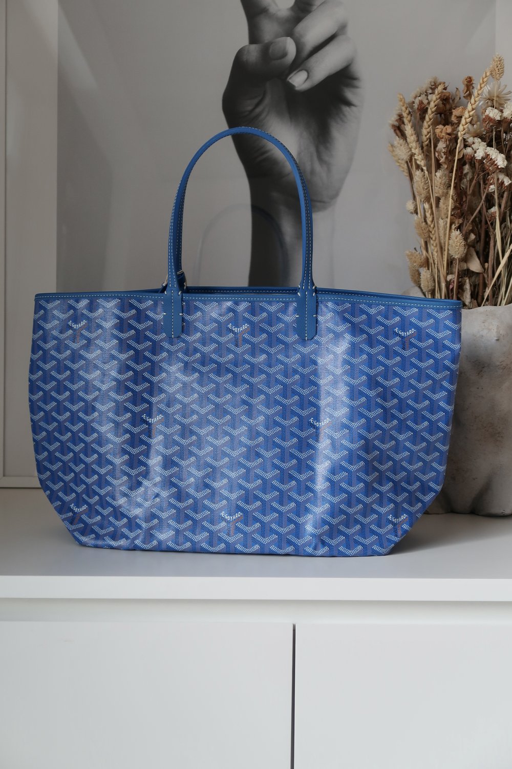 Goyard, Bags, Goyard Sac Saint Louis Pm Bleu M