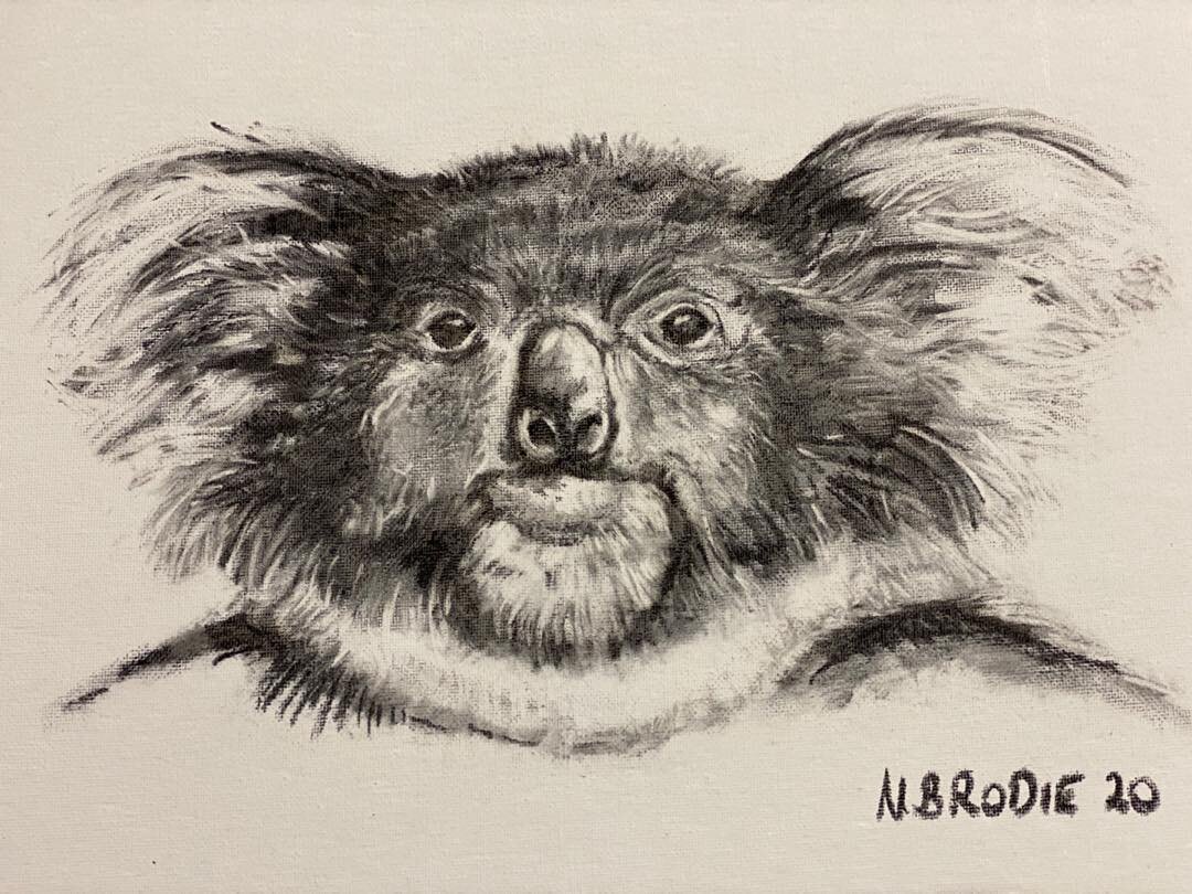 Charcoal drawing on canvas board. Save our Koala&rsquo;s