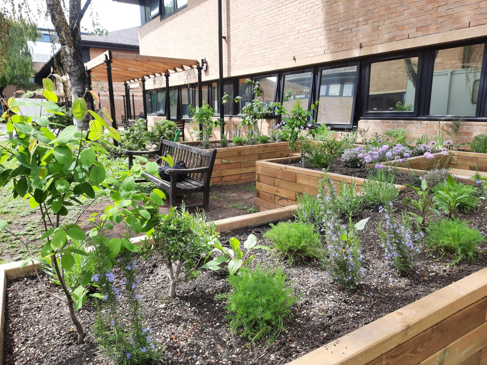 Raised Planters for Hospitals — WoodBlocX Landscaping
