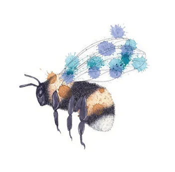 bee1.jpg