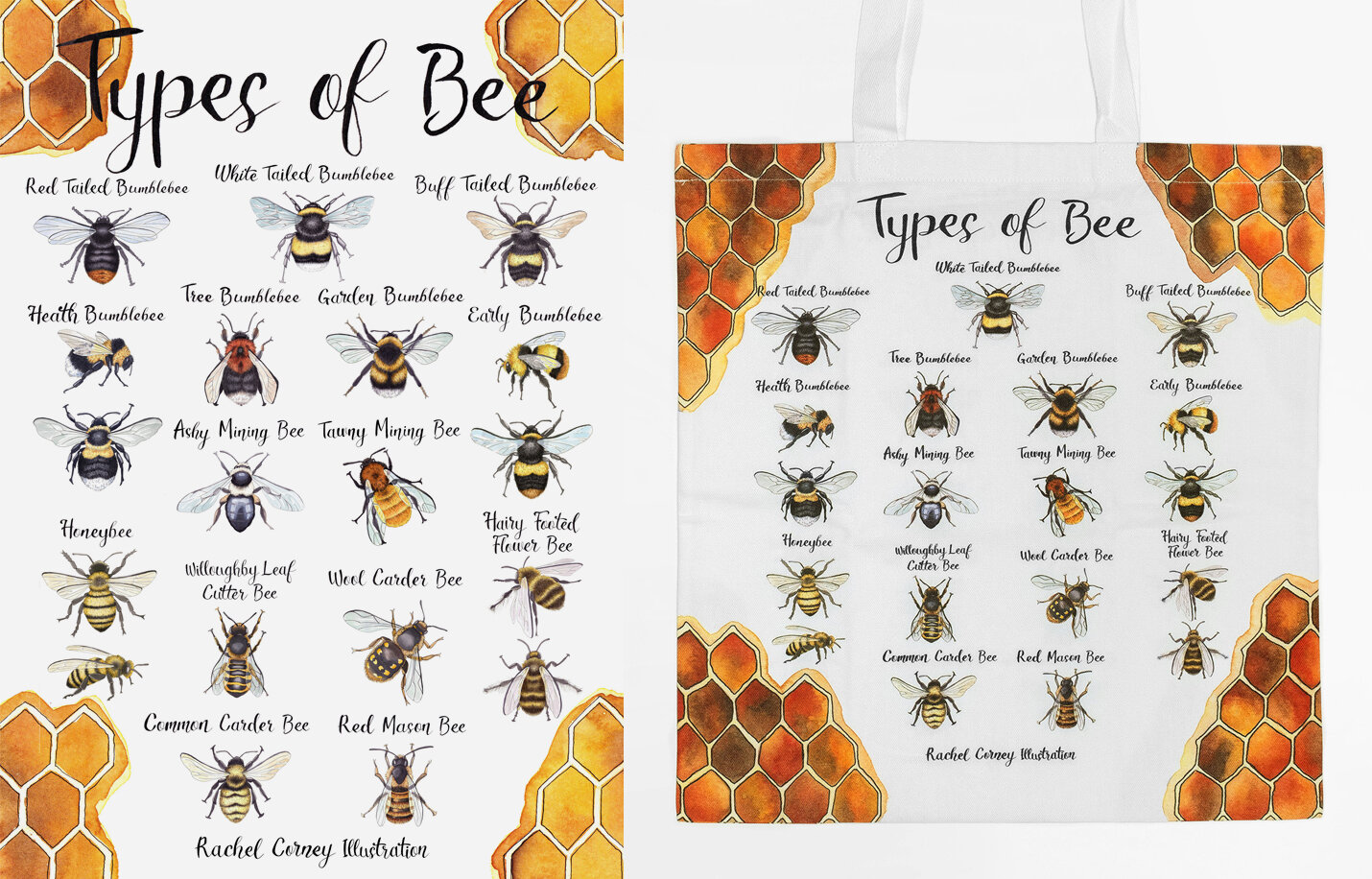 Types of Bee.jpg