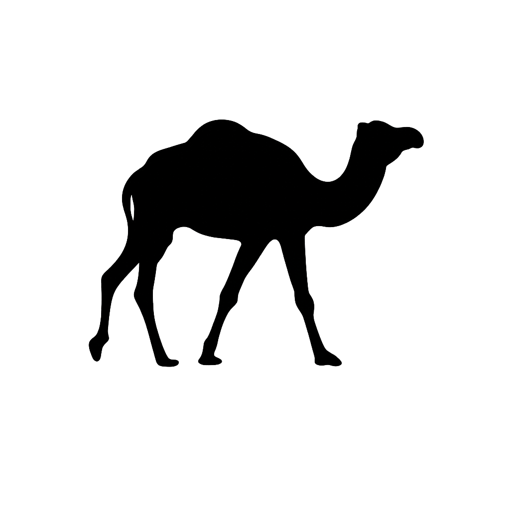 Camel
