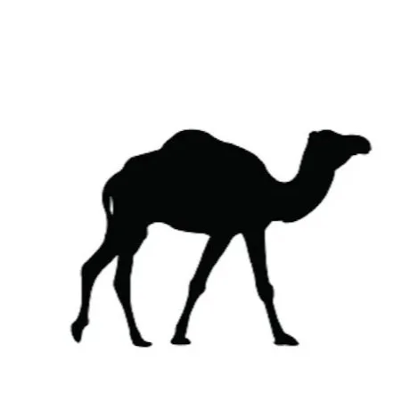 Camel