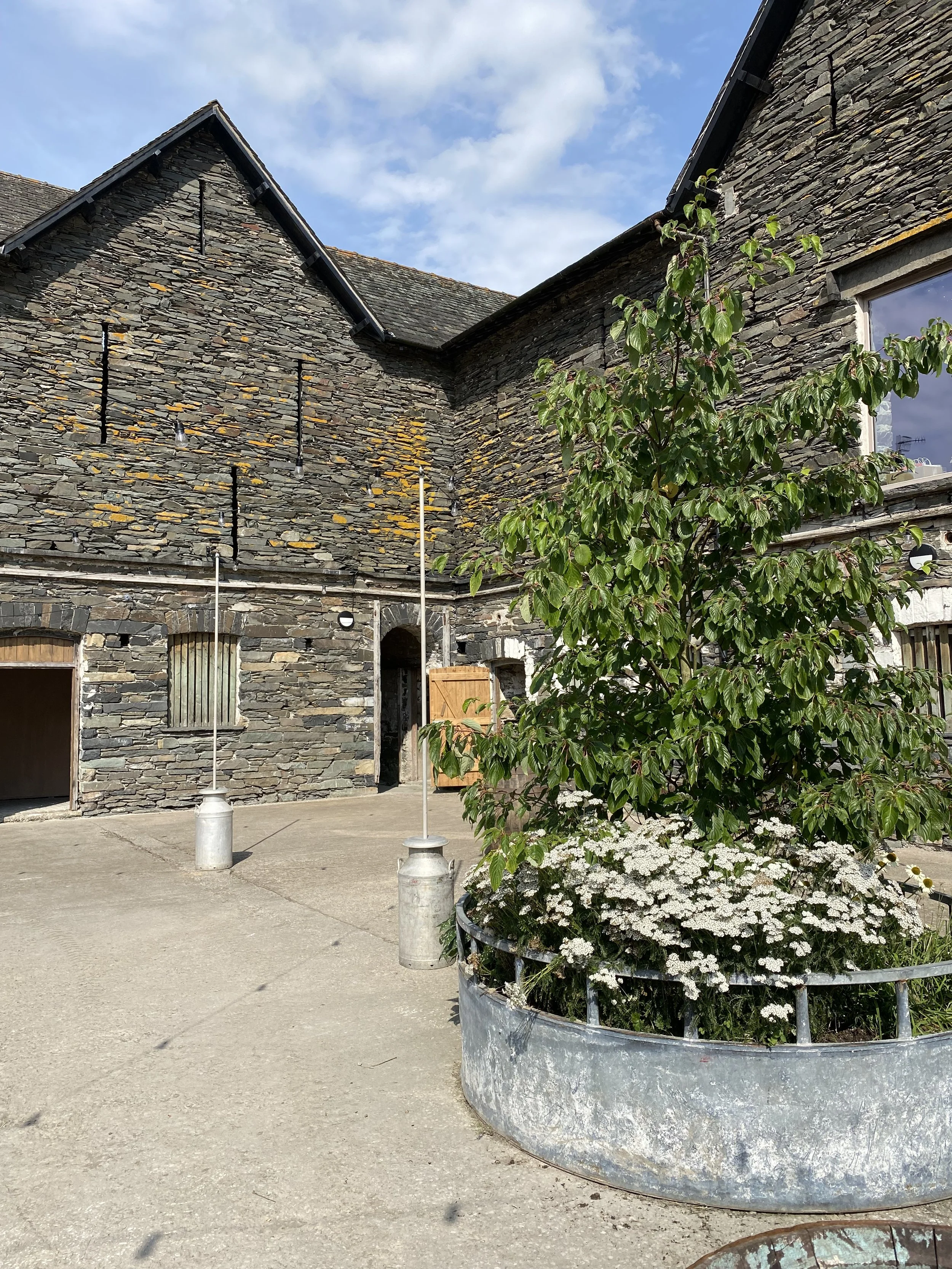 2022-09-02 14.32.52.jpg