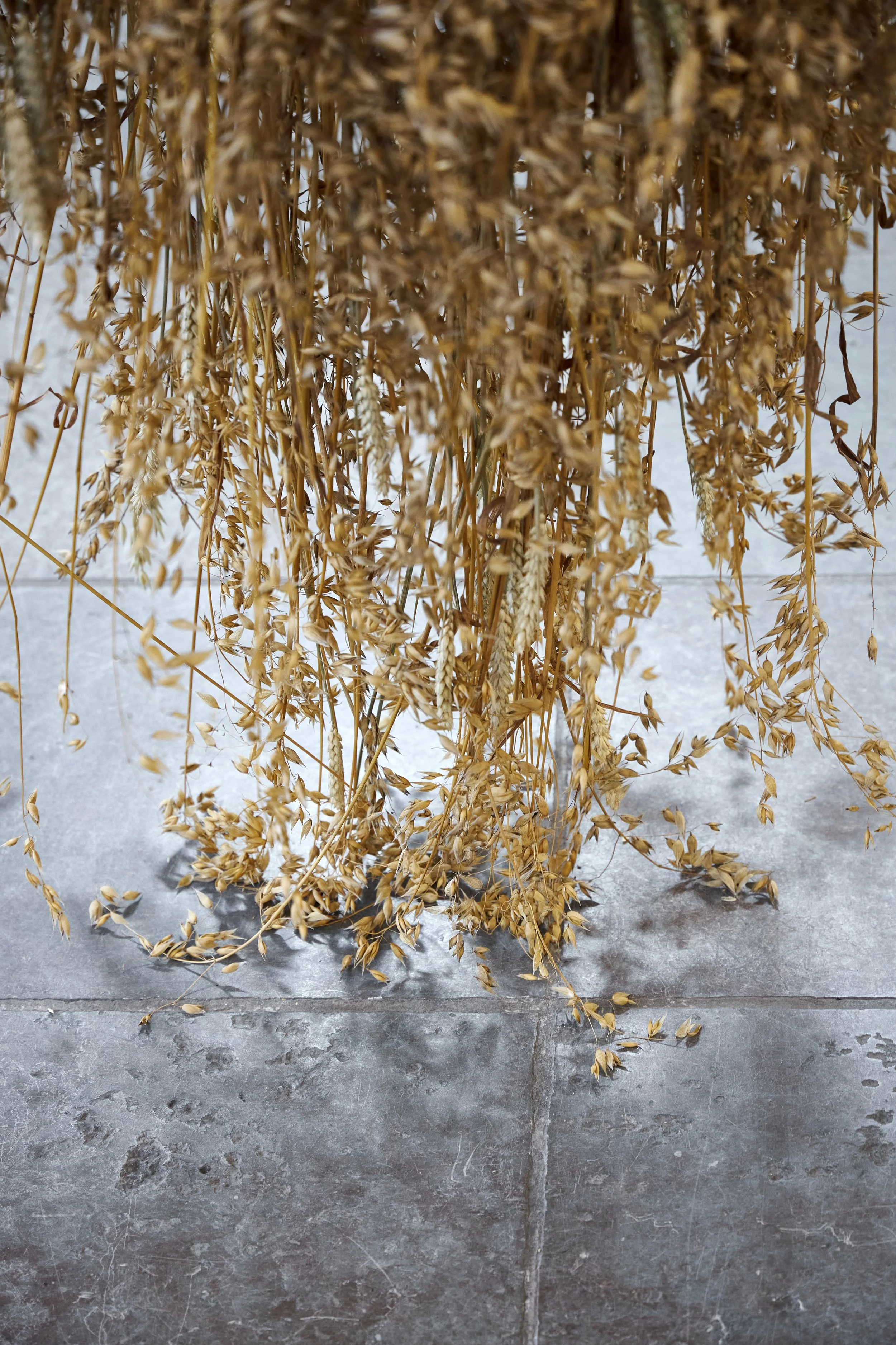 Rebecca Louise Law, Grain, 2026. Installation view. Photo: Jan Brockhaus
