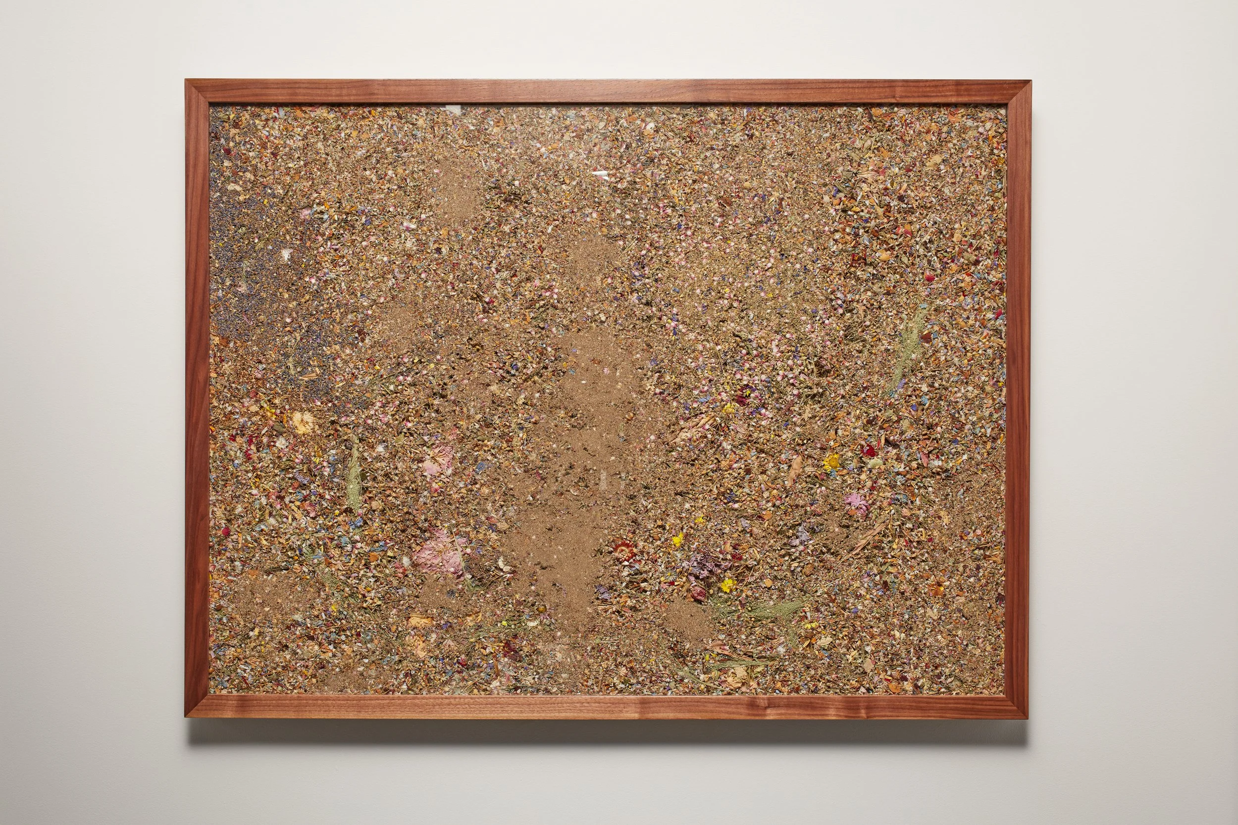 Dust Archive #6 (2018)