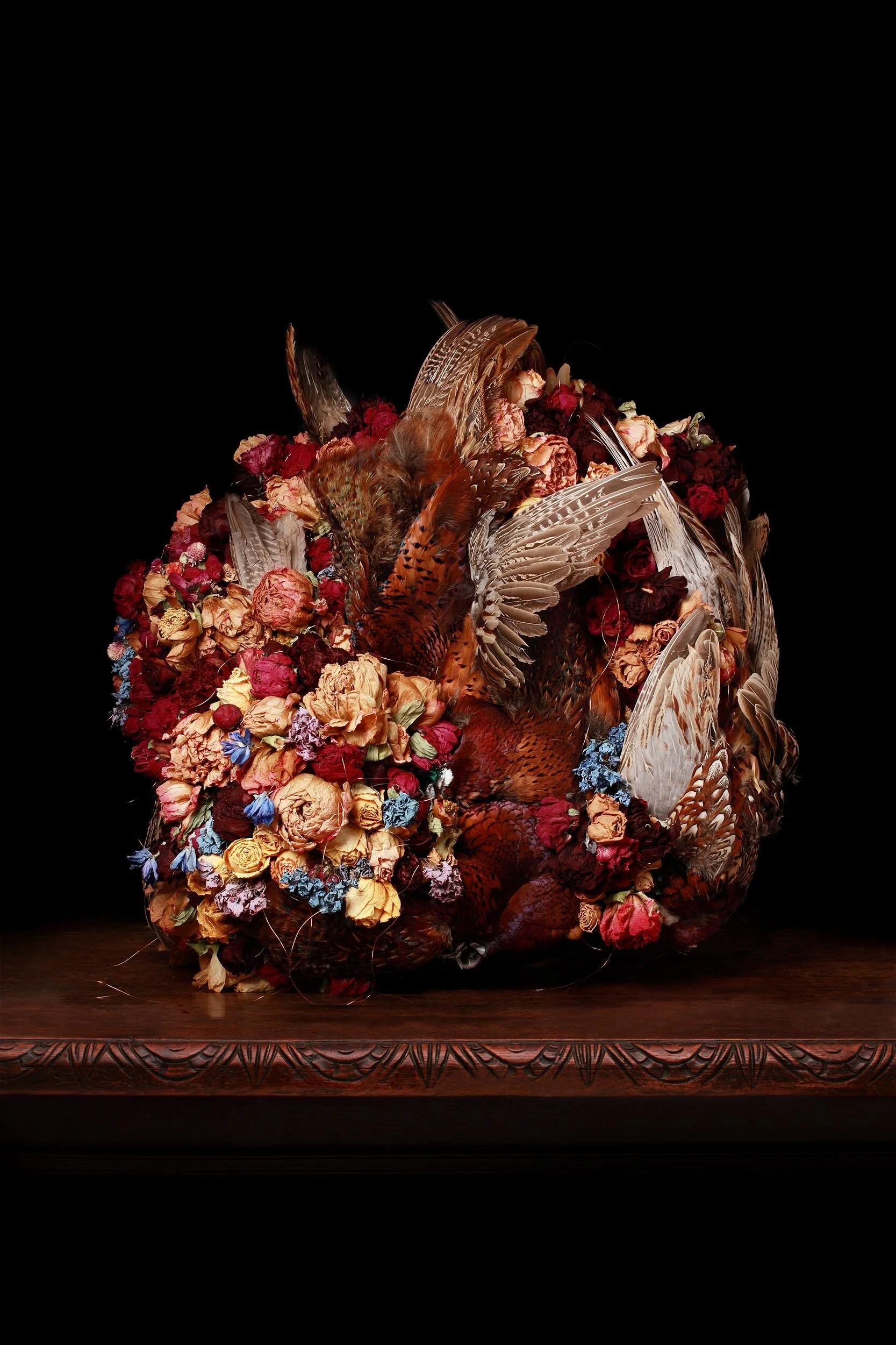 Flora &amp; Fauna 1 2015