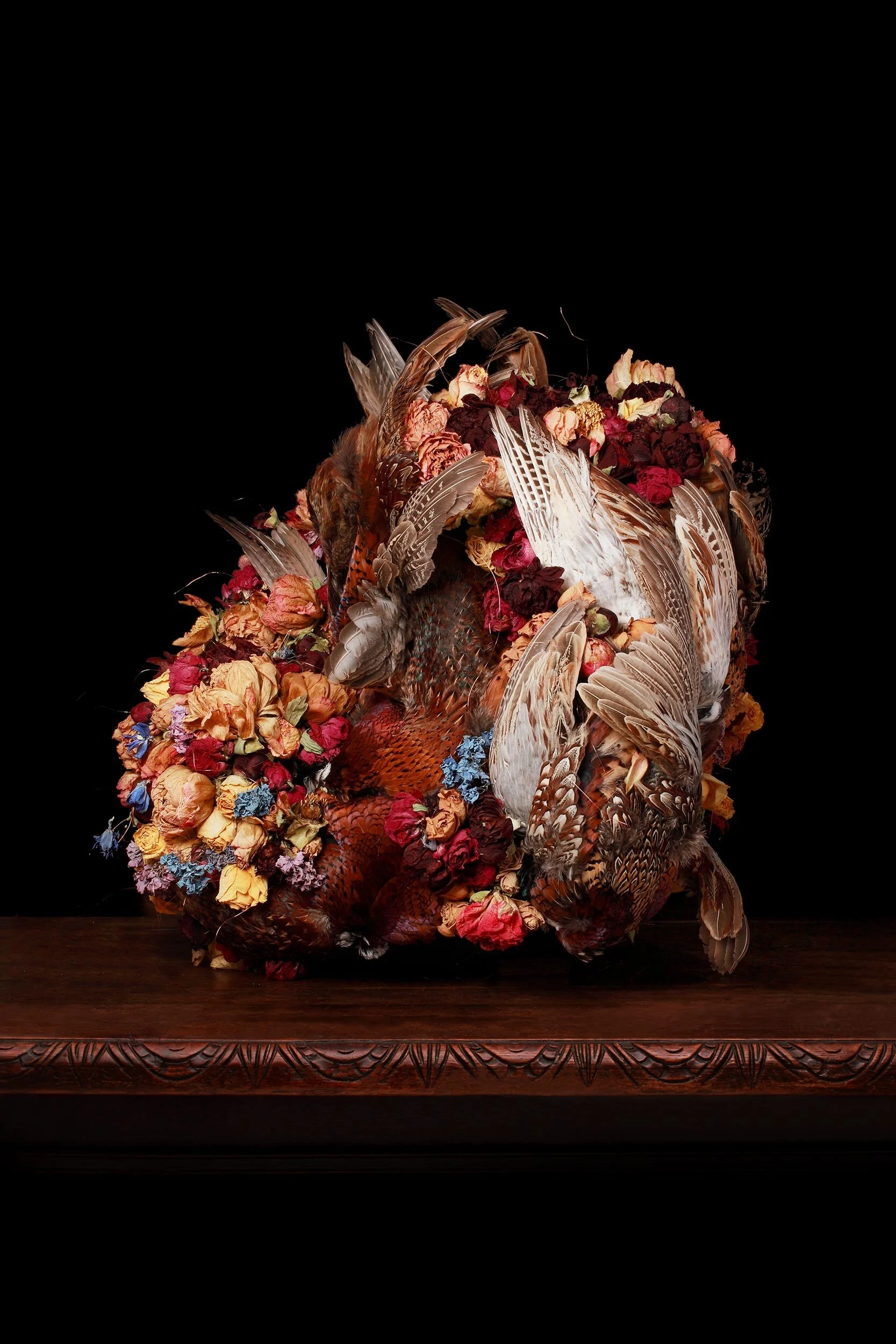 Flora &amp; Fauna 2 2015