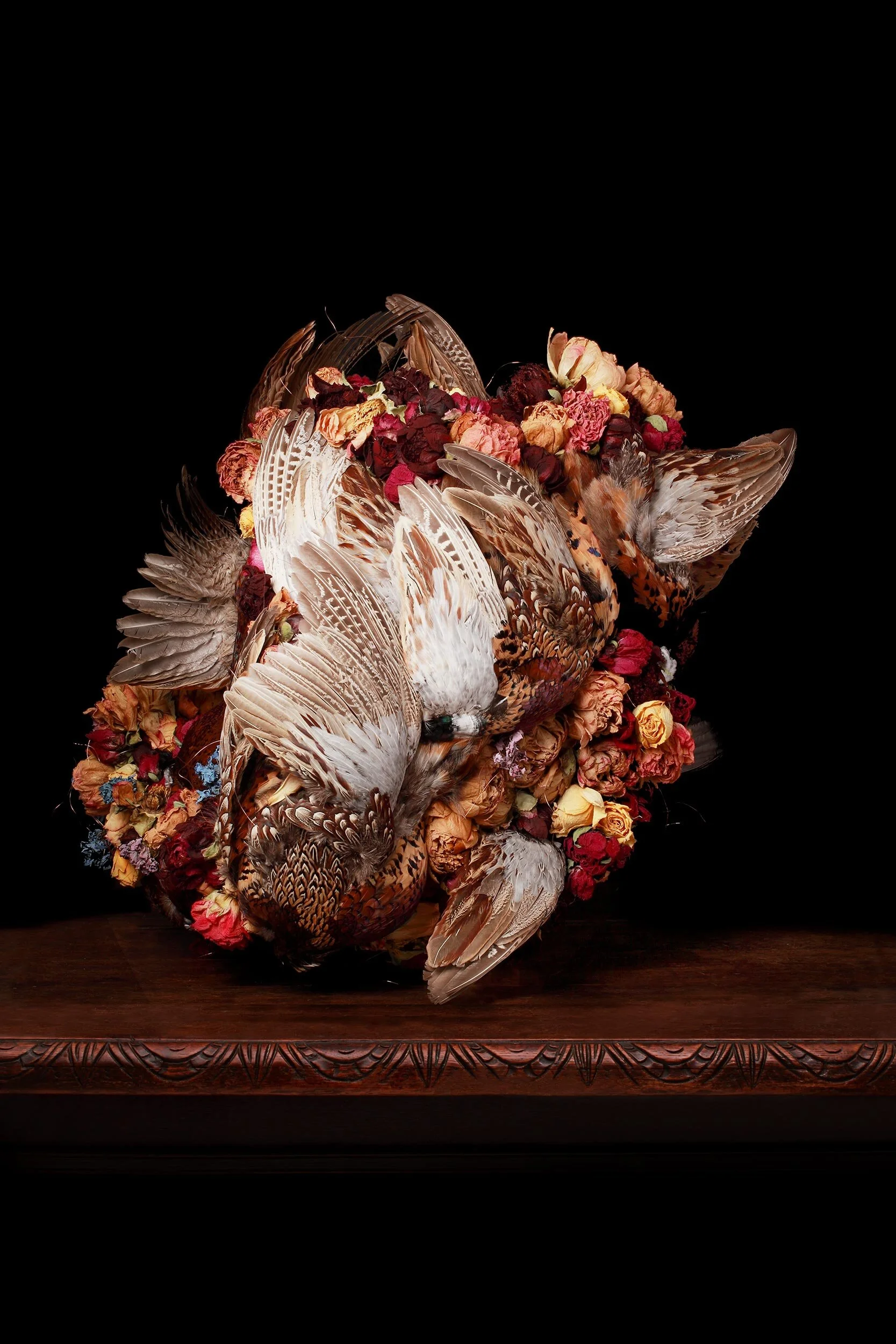 Flora &amp; Fauna 3 2015