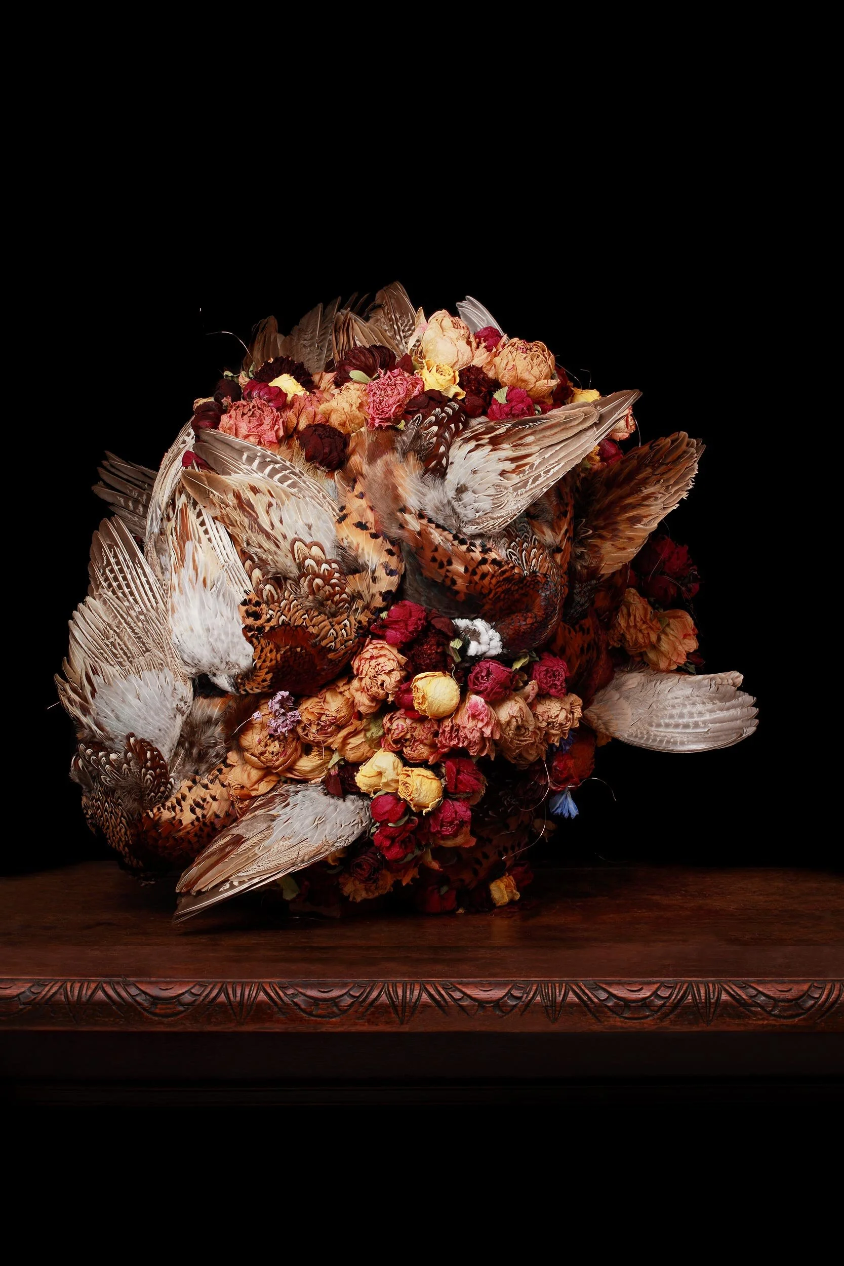 Flora &amp; Fauna 4 2015