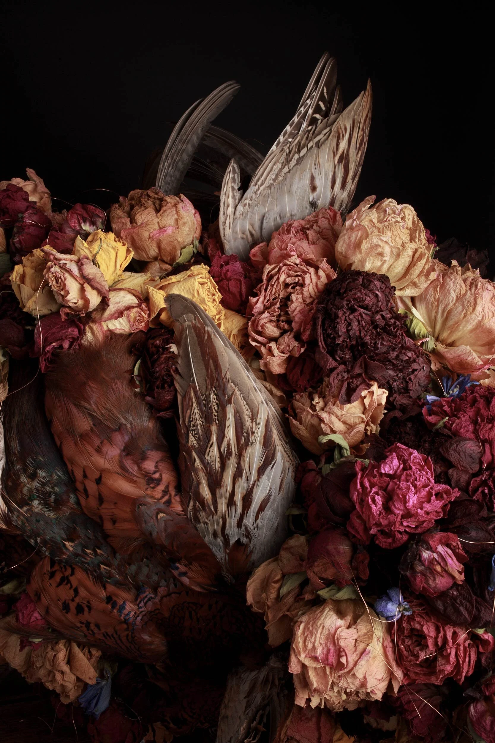 Flora &amp; Fauna 7 2015