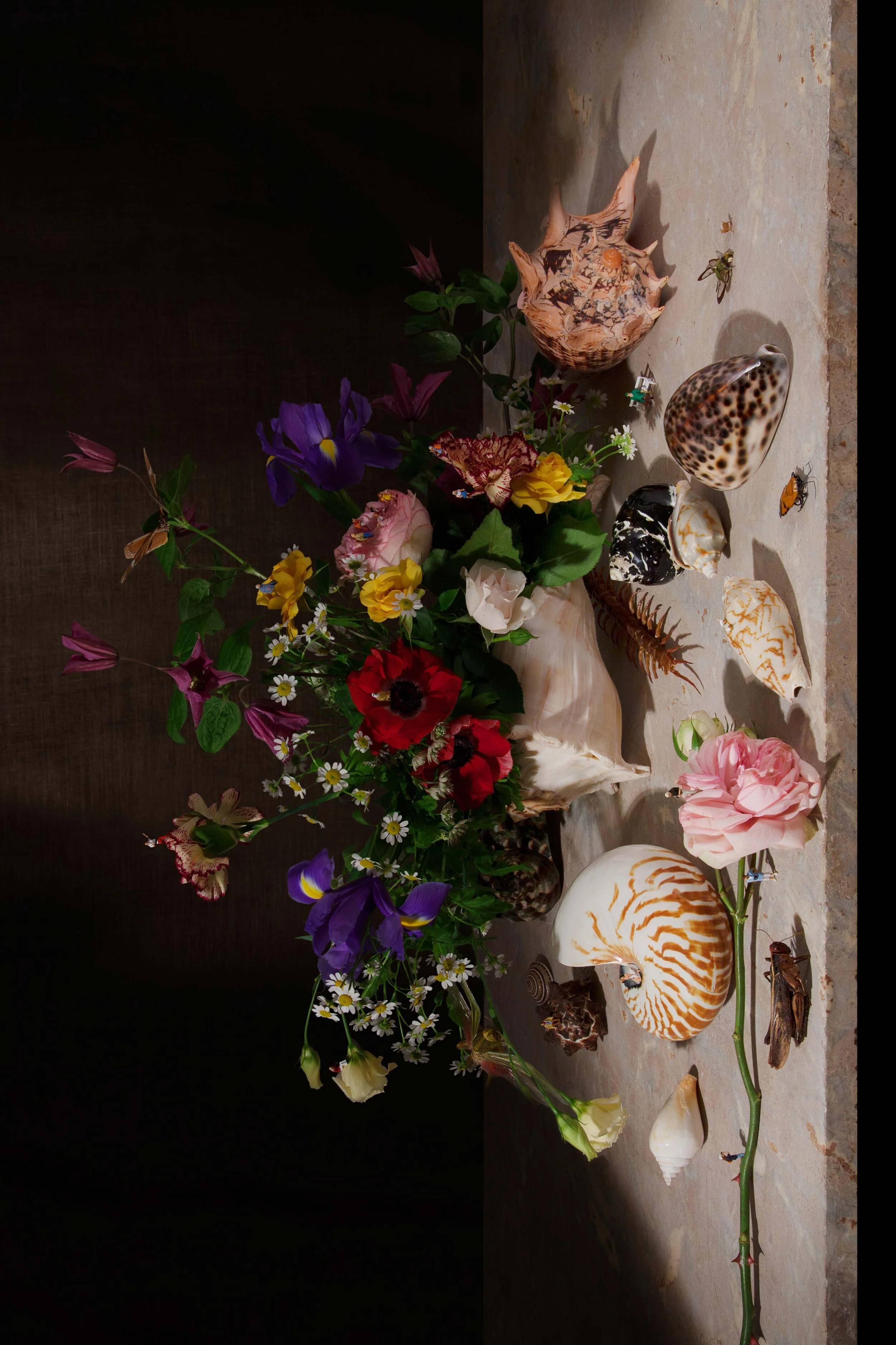 Balthasar van der Ast 2014