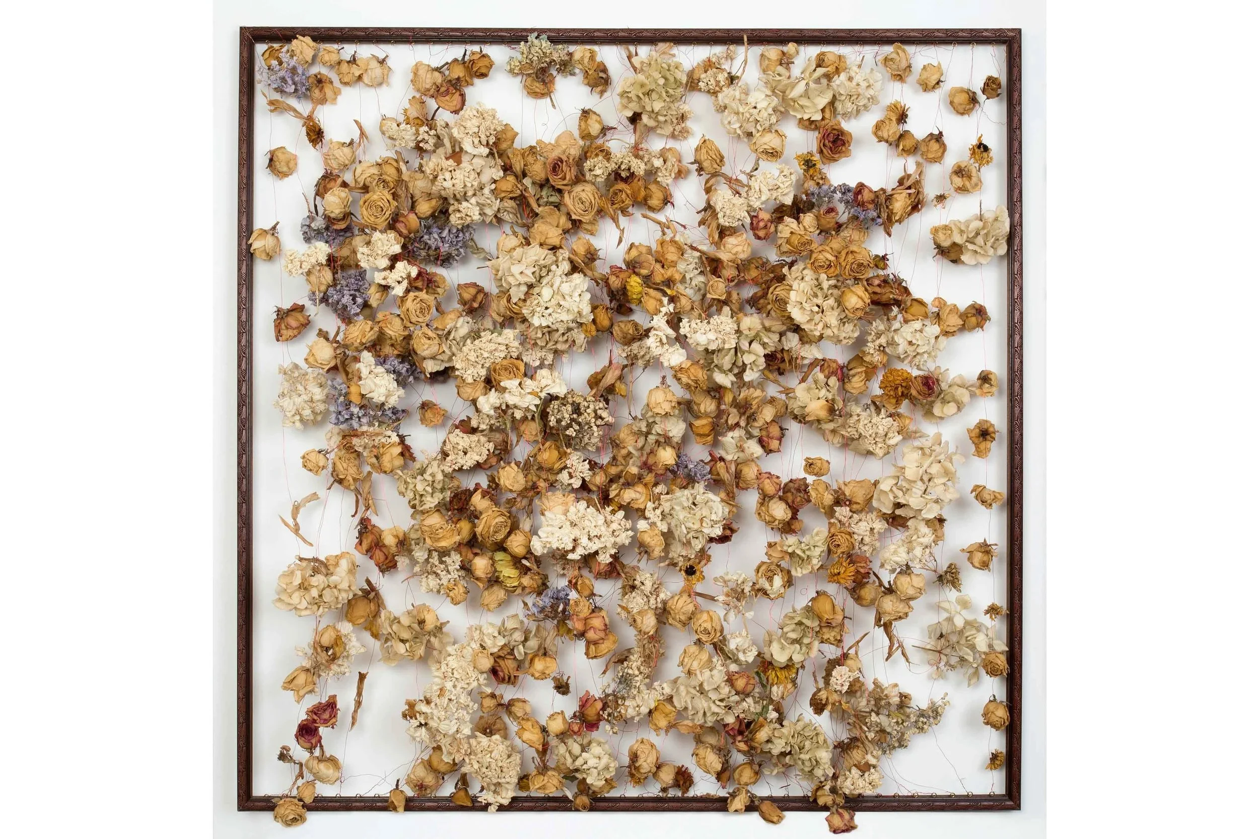 Westminster, 2012 - example of open format