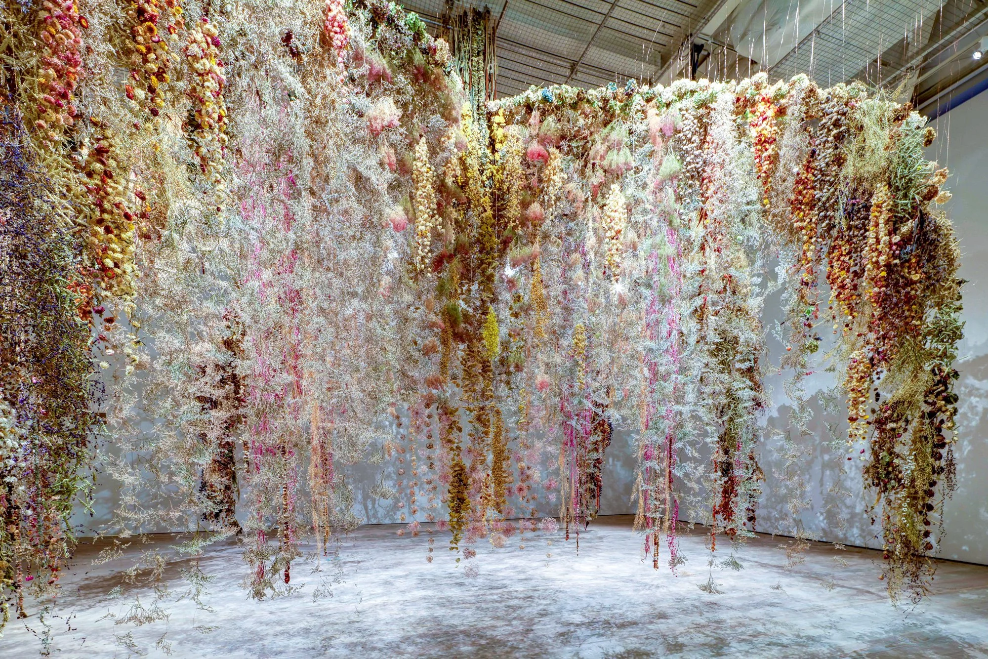 La Fleur Morte — Rebecca Louise Law