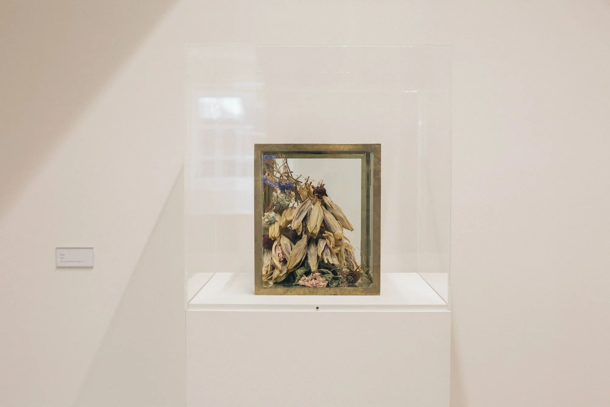 Head, 2015 - example of encased format