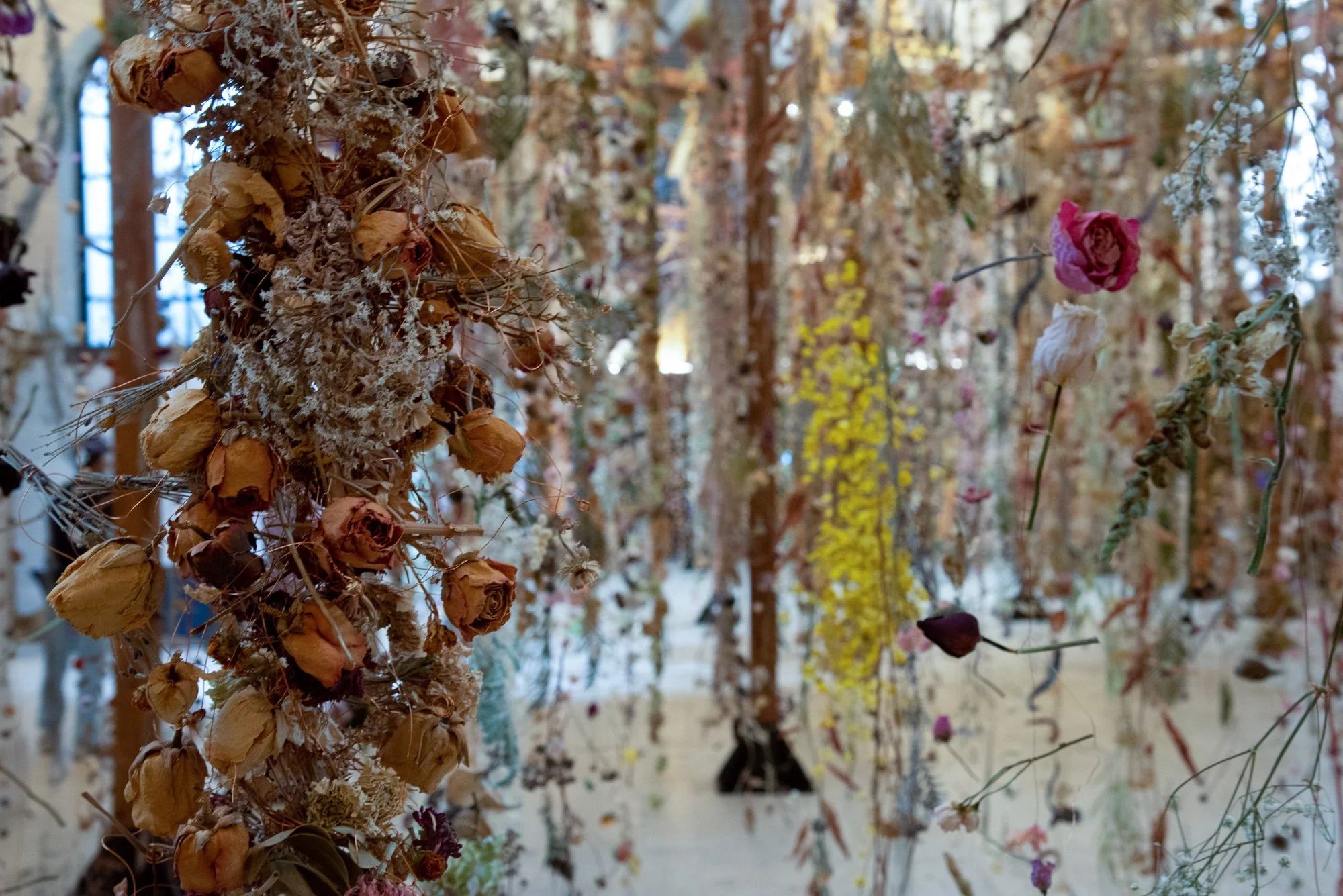 The Archive — Rebecca Louise Law