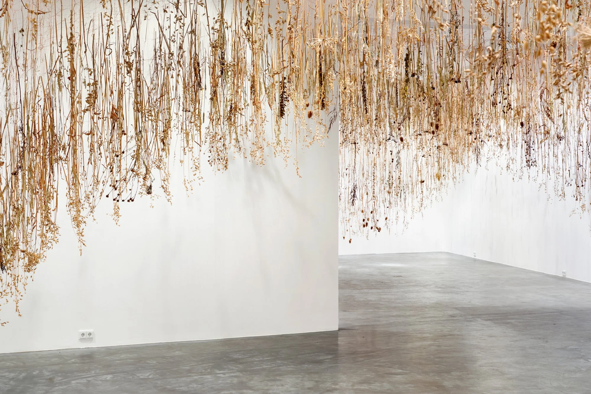 Rebecca Louise Law, The Field, 2026. Installation view. Photo: Jan Brockhaus