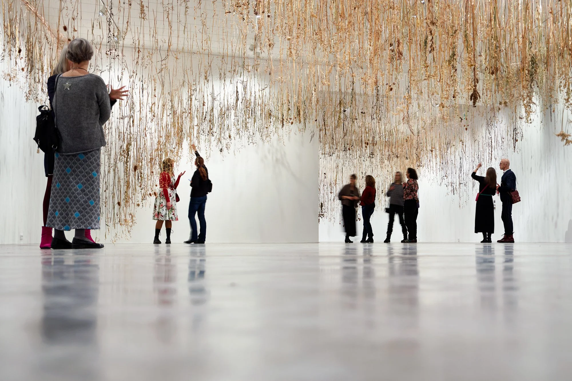 Rebecca Louise Law, The Field, 2026. Installation view, Molfsee Open-Air Museum, Schleswig-Holstein. Oats, flowers, locally grown plants and enamelled copper wire. Photo: Jan Brockhaus