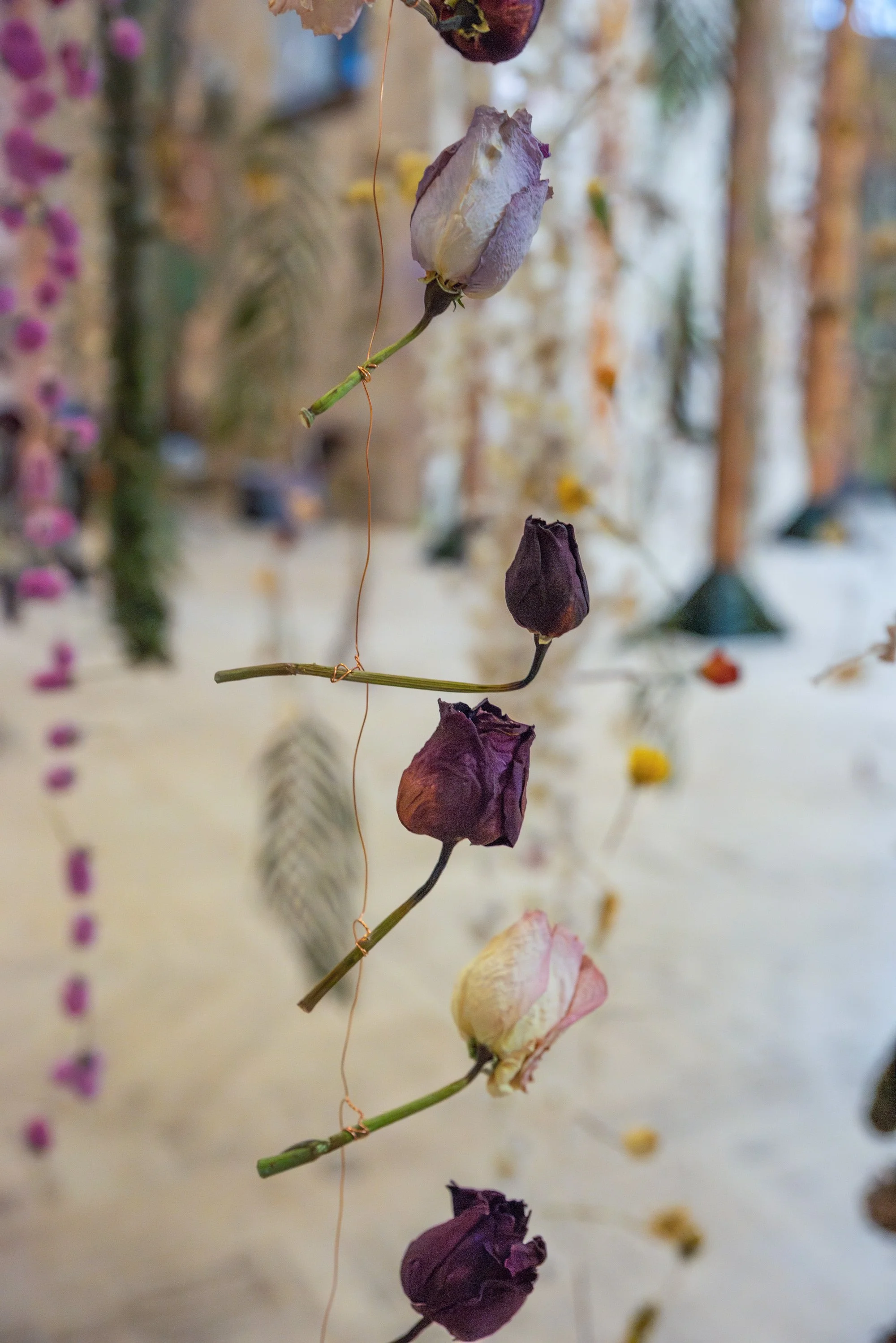 The Archive — Rebecca Louise Law