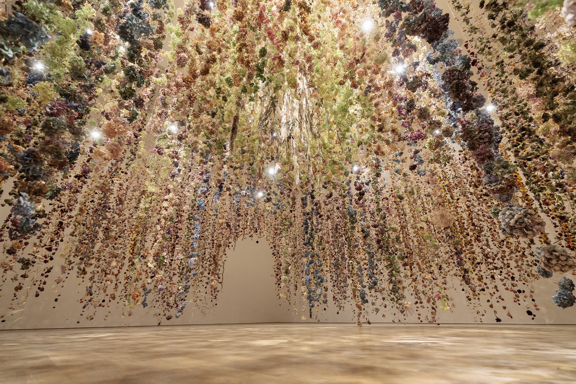 Calyx — Rebecca Louise Law
