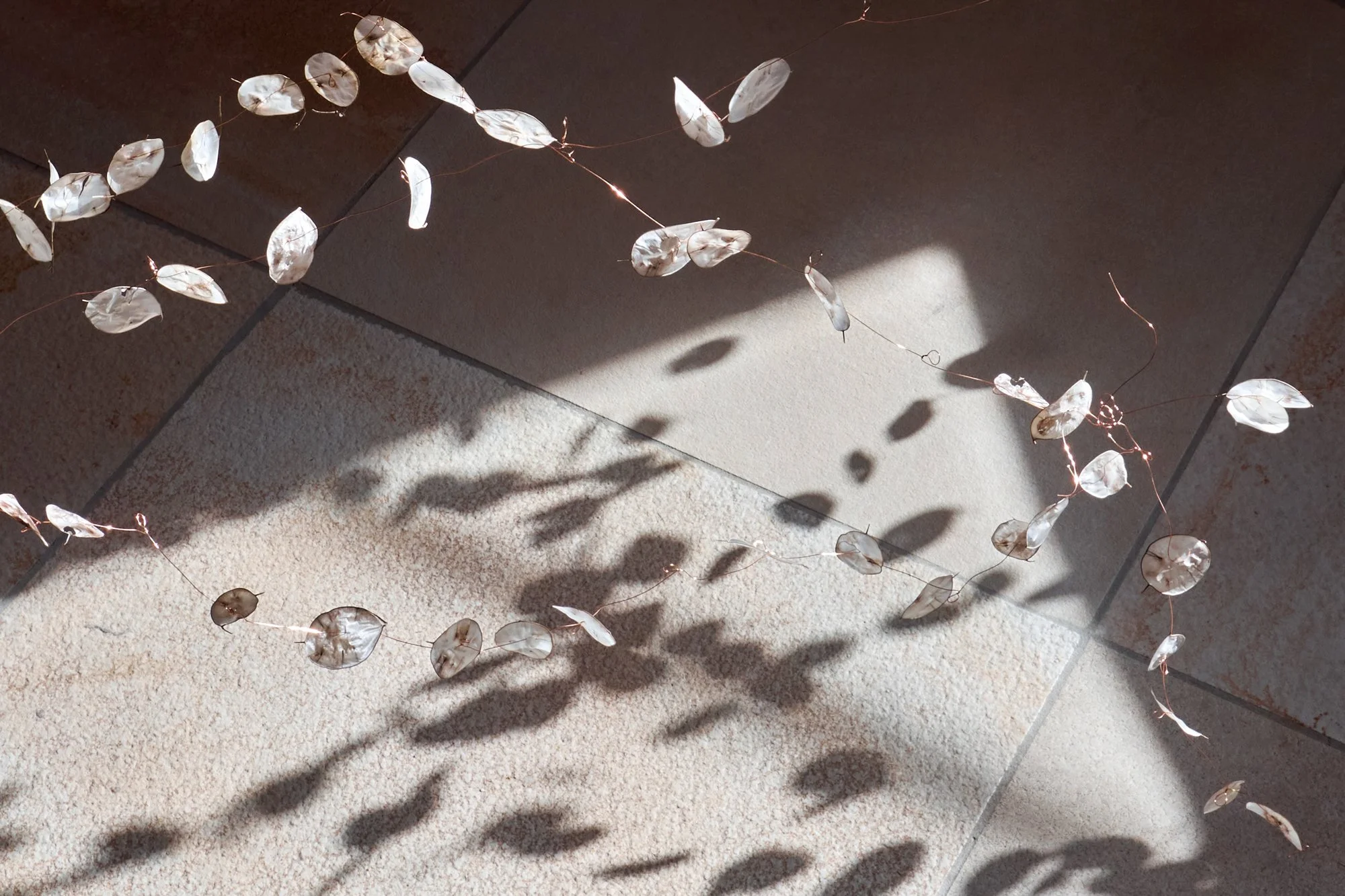 Rebecca Louise Law, Honesty, 2026. Installation view. Photo: Jan Brockhaus