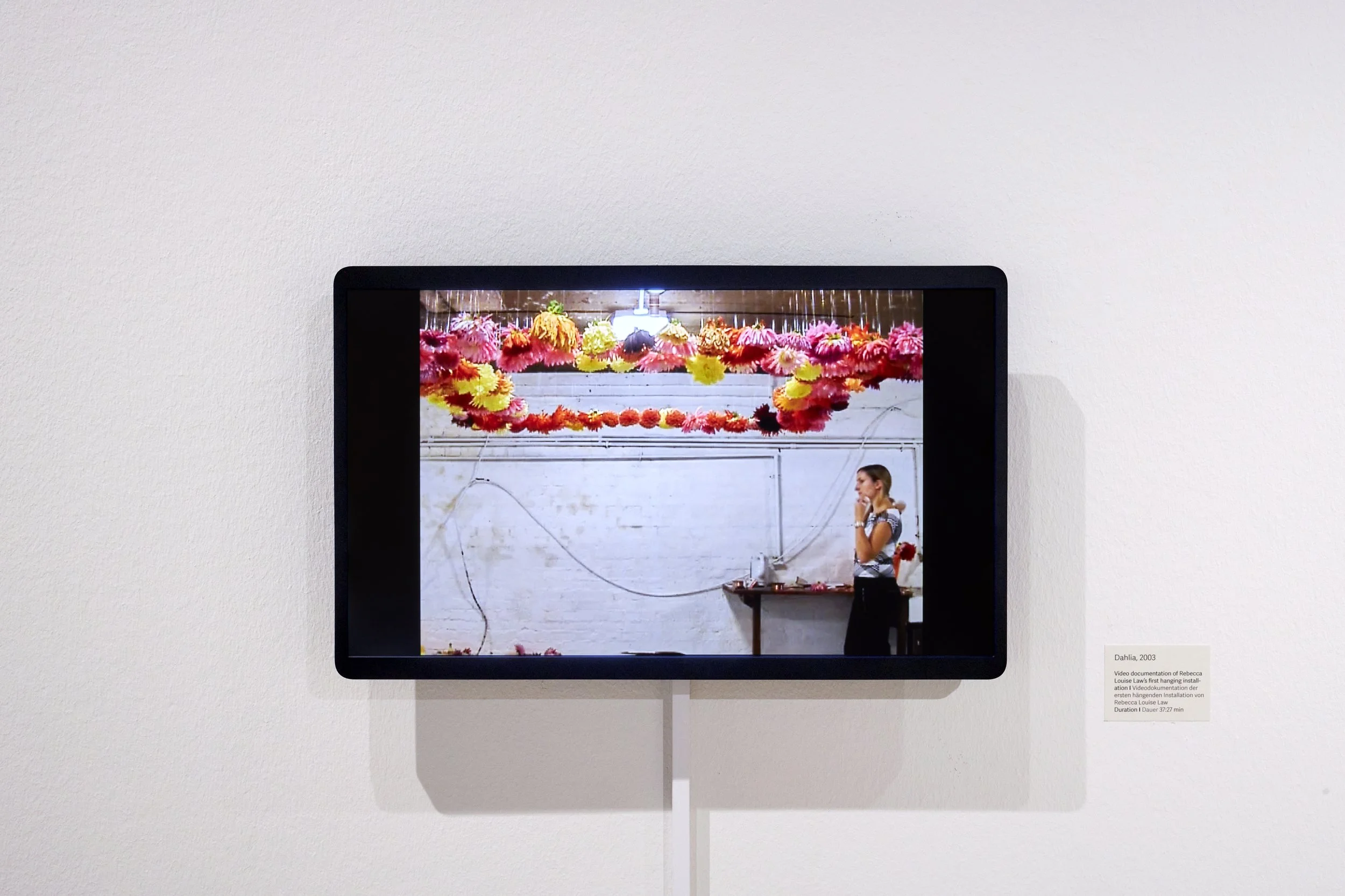 Rebecca Louise Law, Dahlia, 2003. Installation view.  Photo: Jan Brockhaus