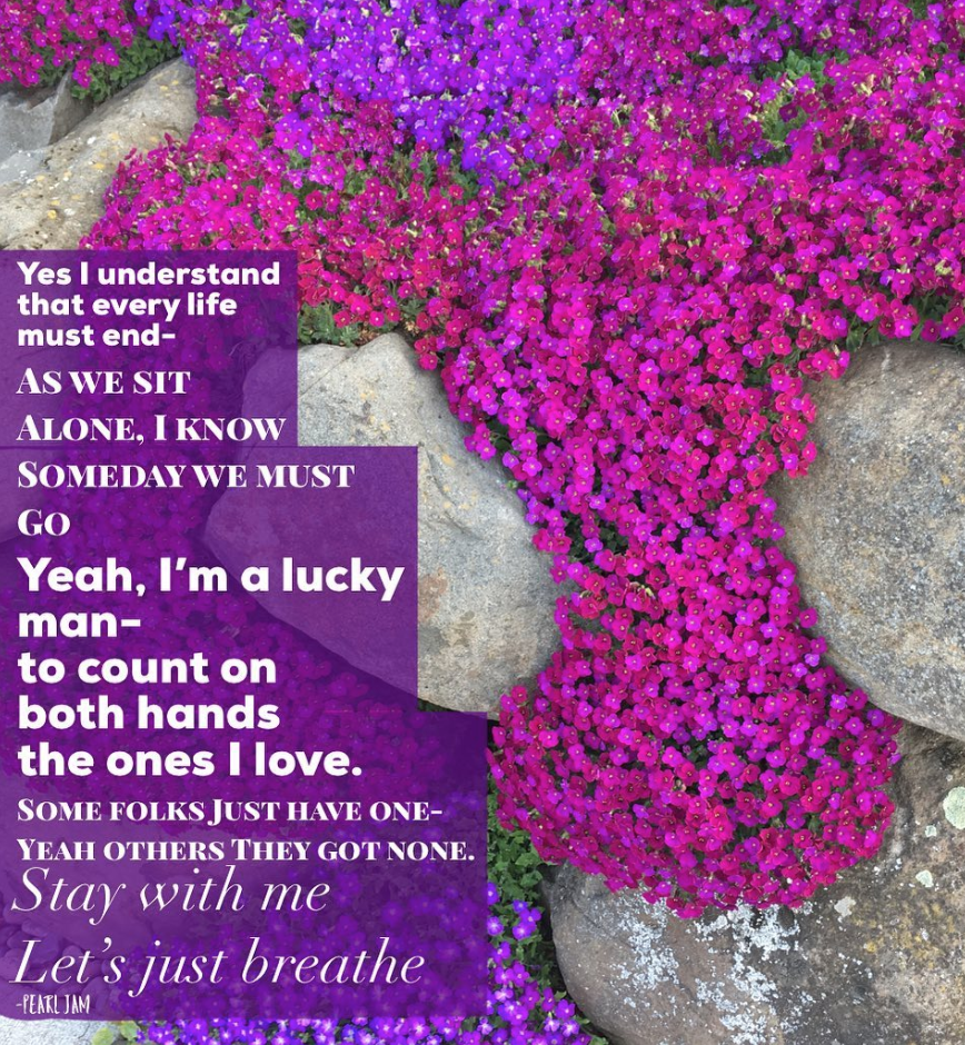 05/20/2019