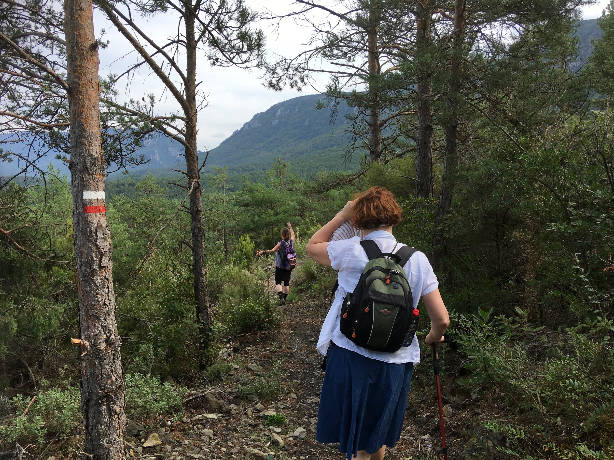 Along the track between Roquefixade and Foix.jpeg