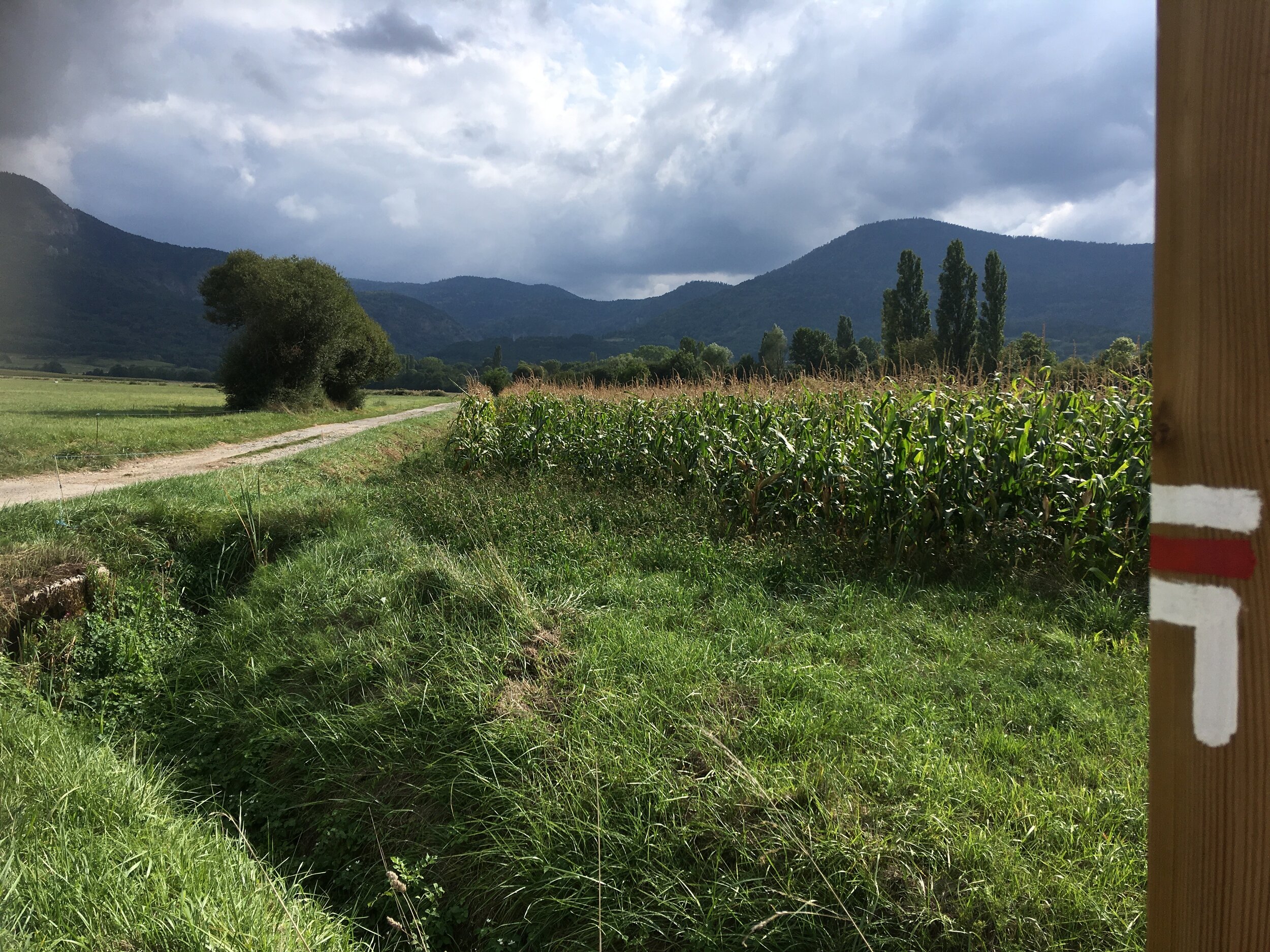 Distinctive red and white waymarks along the Cathar Way.jpeg