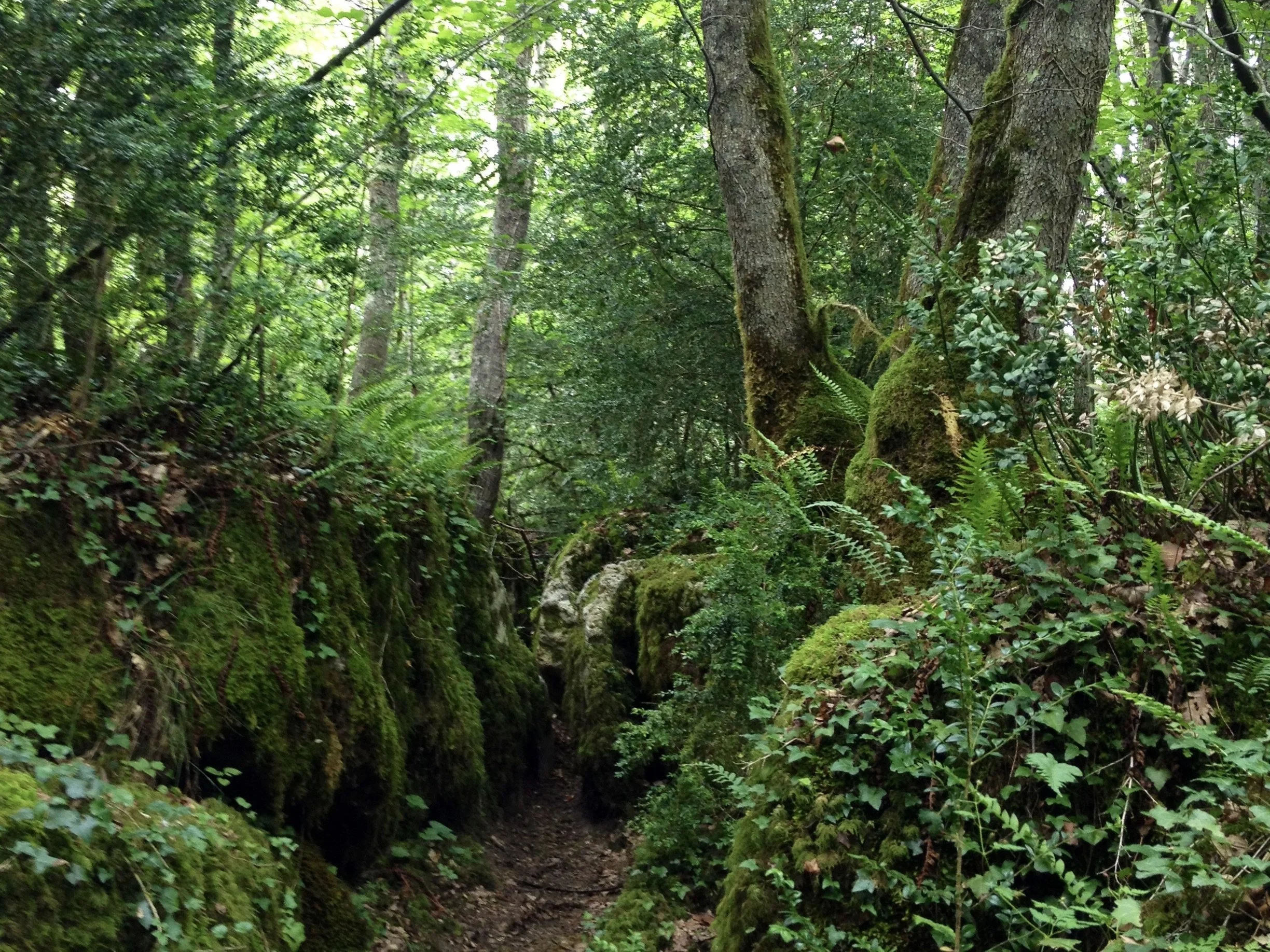 Labyrinth at Nebias.jpeg