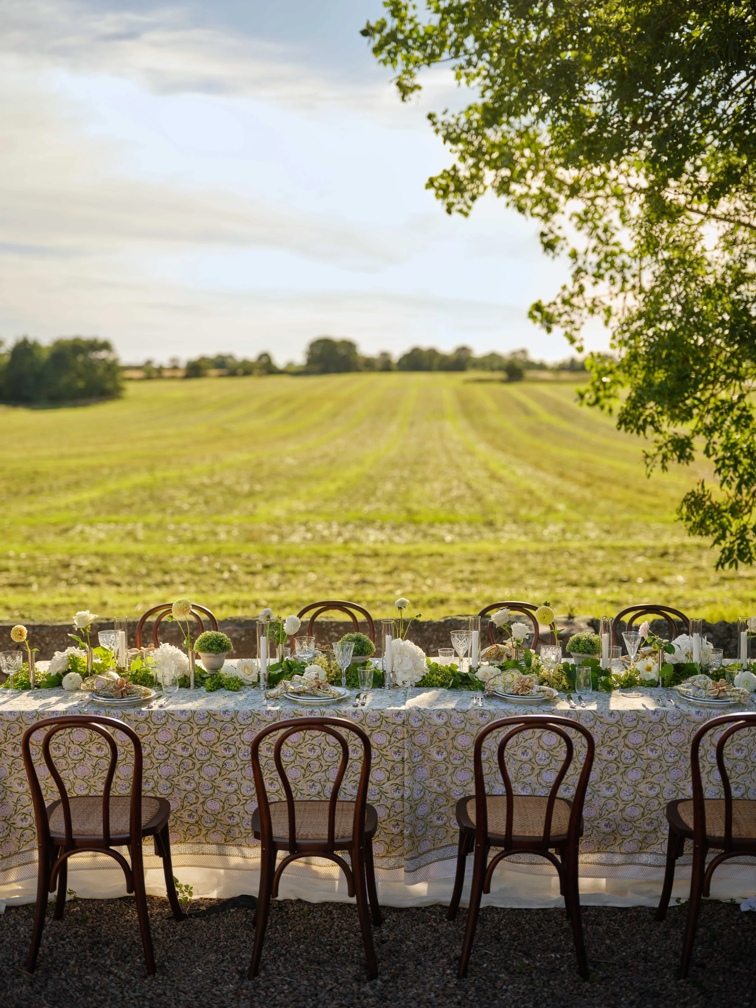 Chamois_CA_E_Garden of Mathilde_0011.jpg