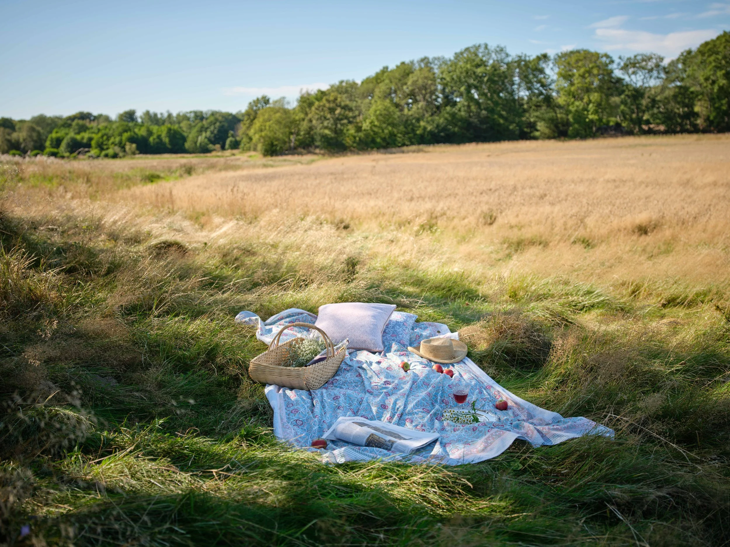 Chamois_CA_E_Garden of Mathilde_0020.jpg