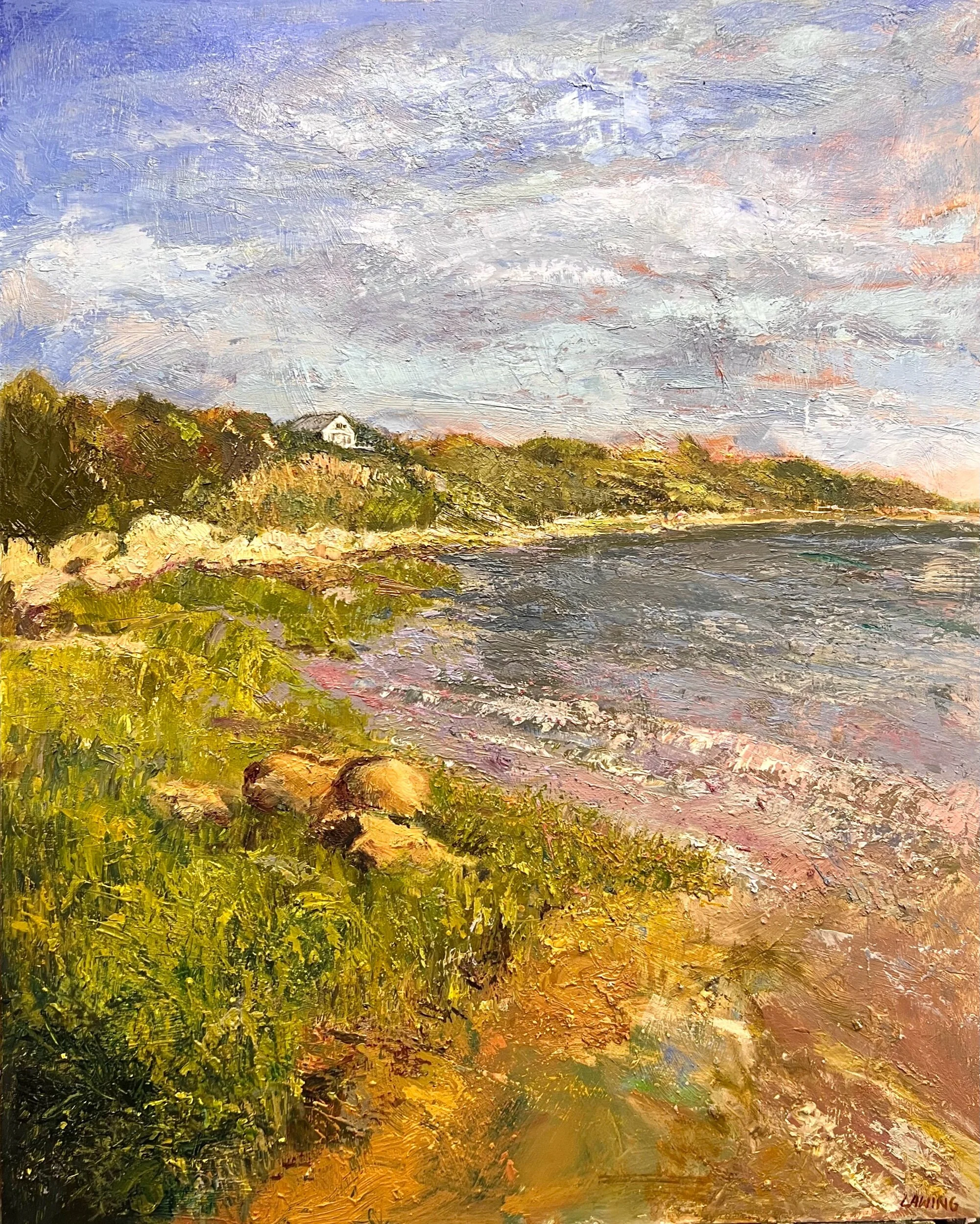 Shoreline At Andy's Way