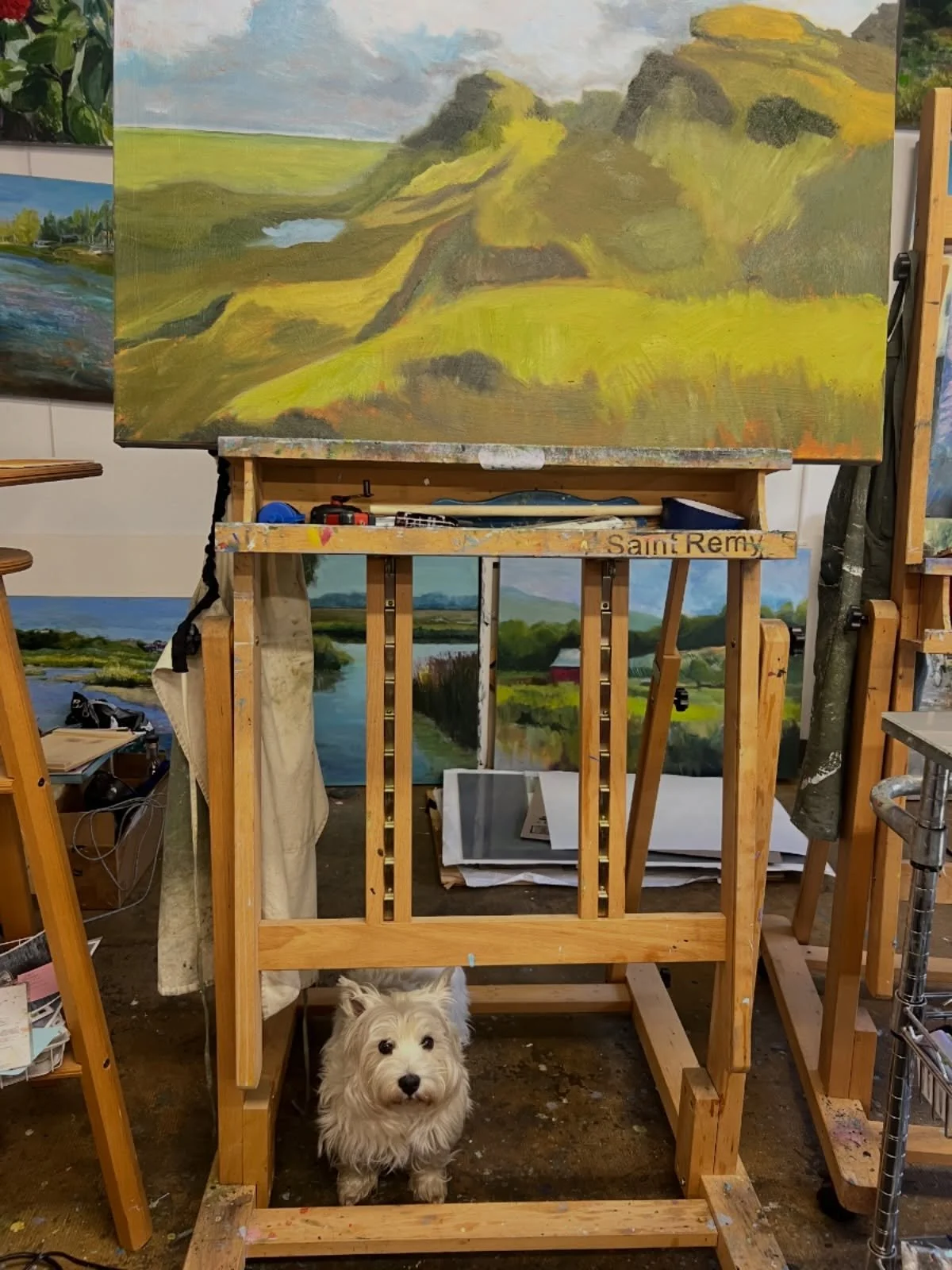 Georgia and I want you to come see us this Saturday for Open Studios @clearwaterartsnc 11a-4p! There&rsquo;s plenty of parking, but if you prefer, you can catch the free shuttle from the @cabarrusartscouncil