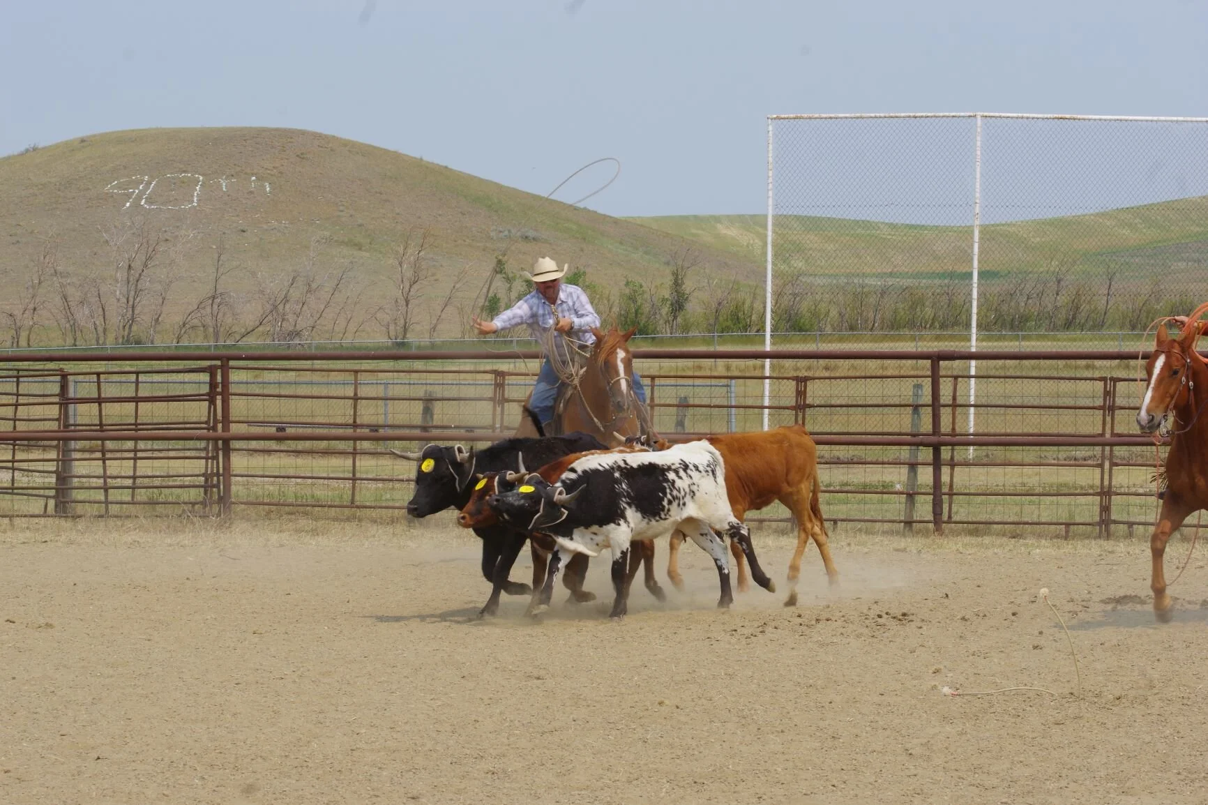 Stender Ranch Roping July 17 &amp; 18, 2021