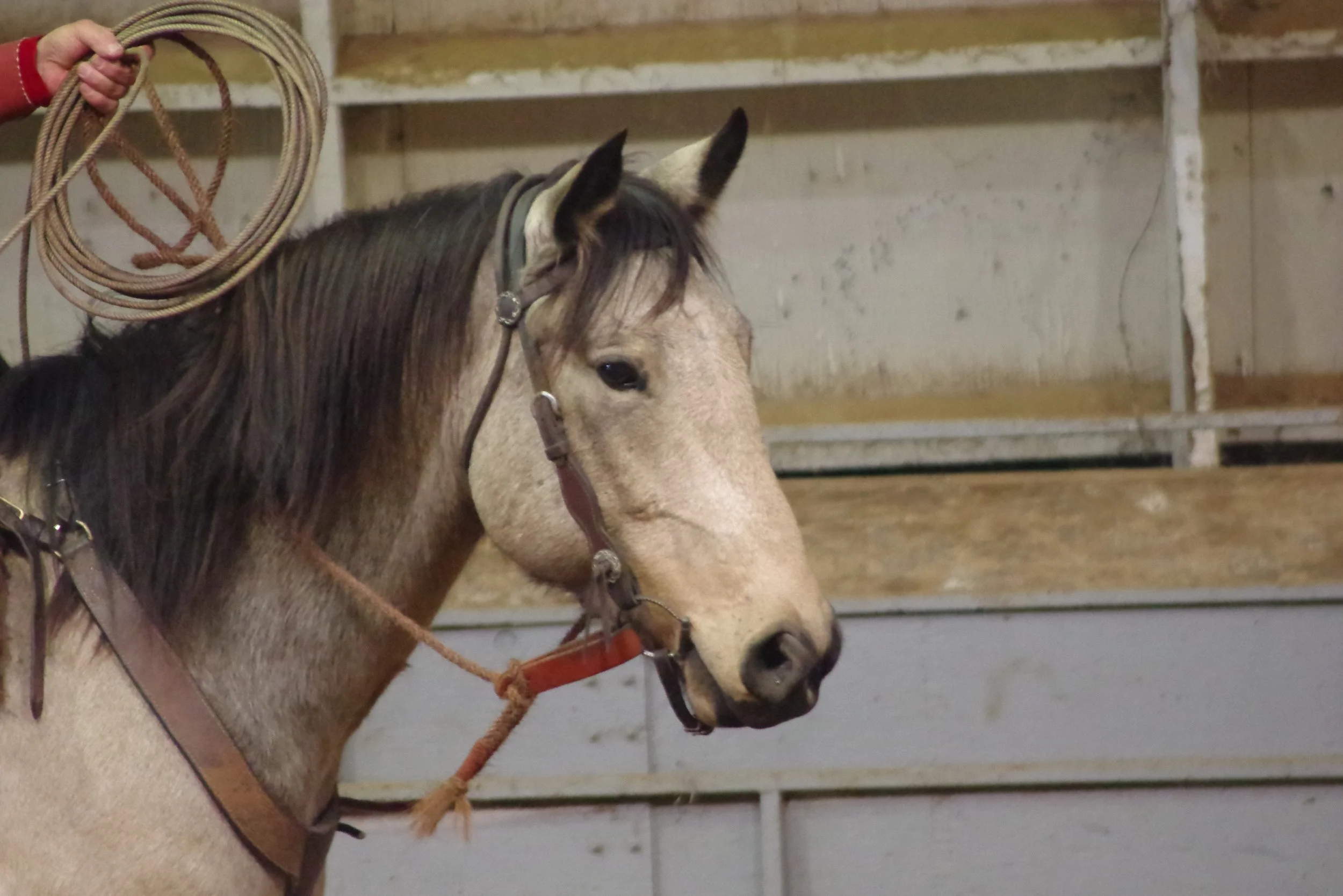 Waitin' for Spring: Winter Series #3 