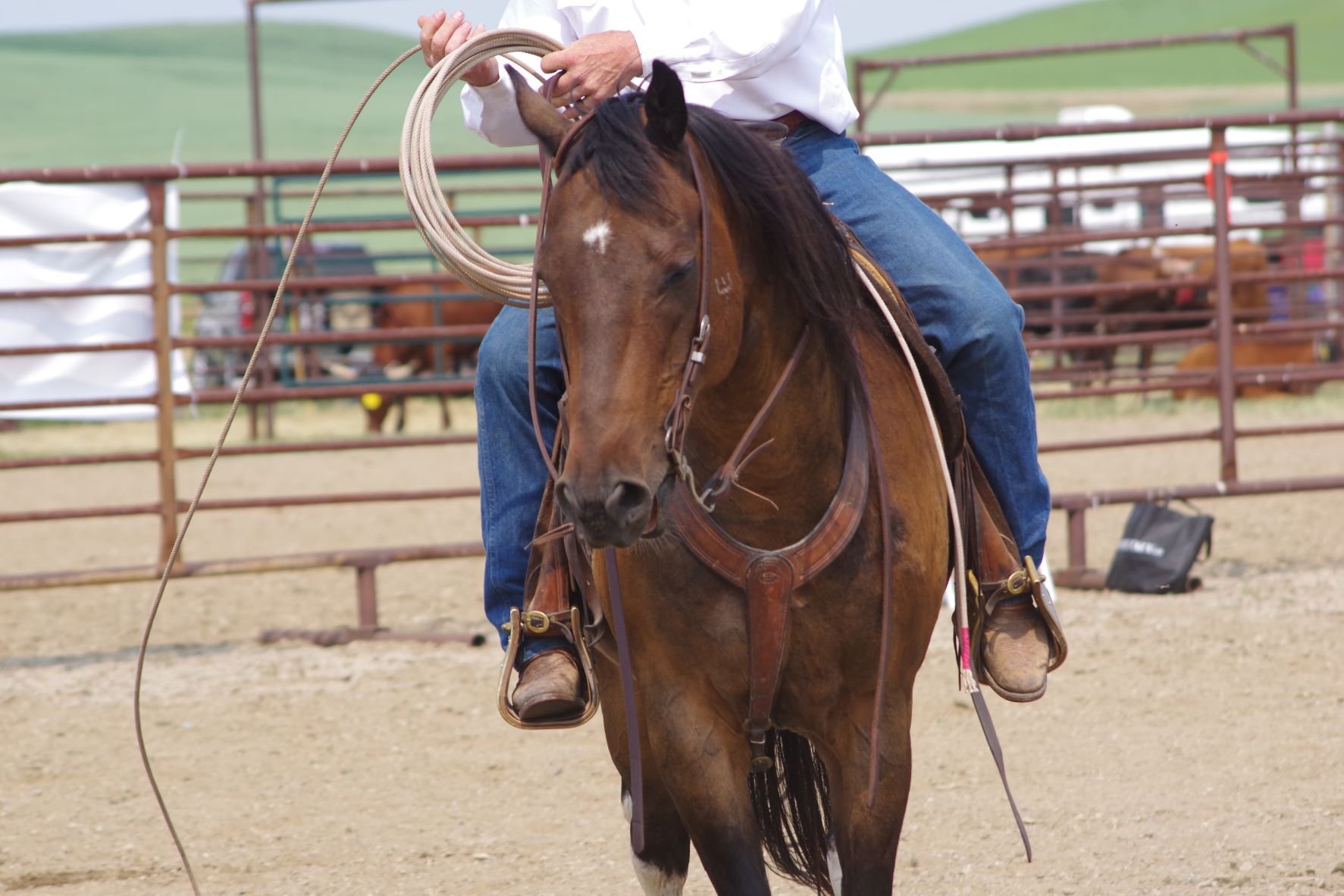 Fort Comfort Ranch Roping 