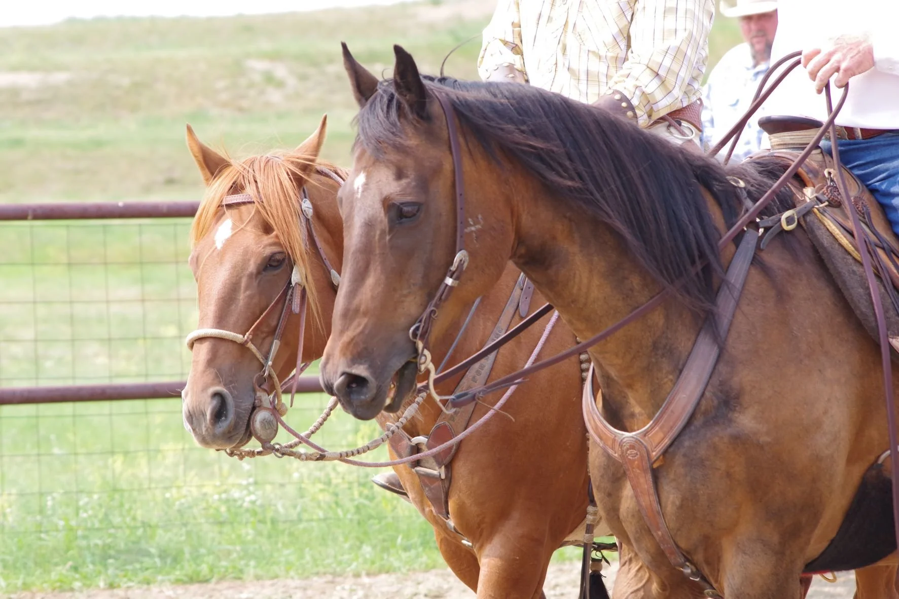 CRRA Novice Ranch Roping Class 
